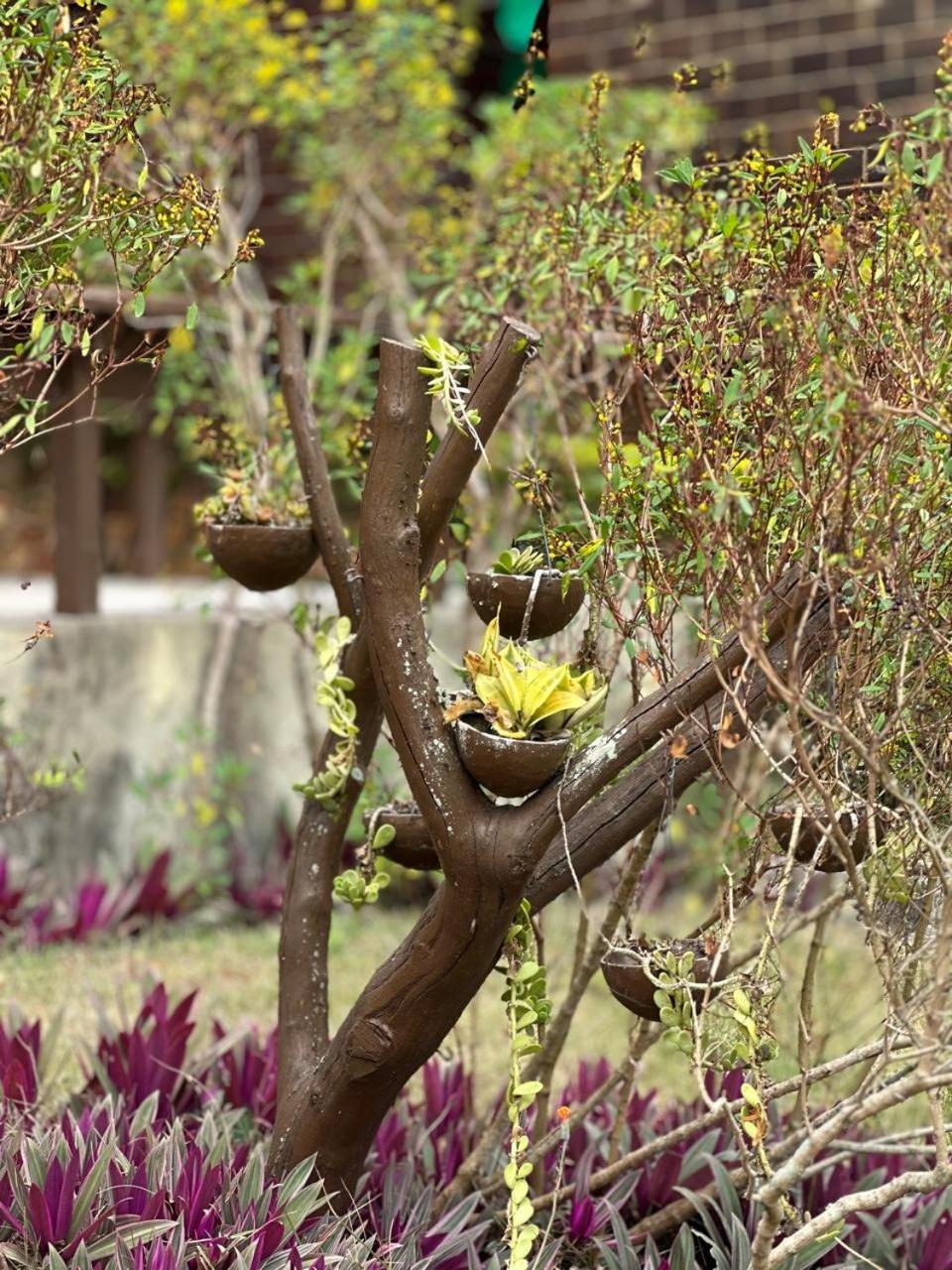 Casa de Campo em Gravatá super aconhegante
