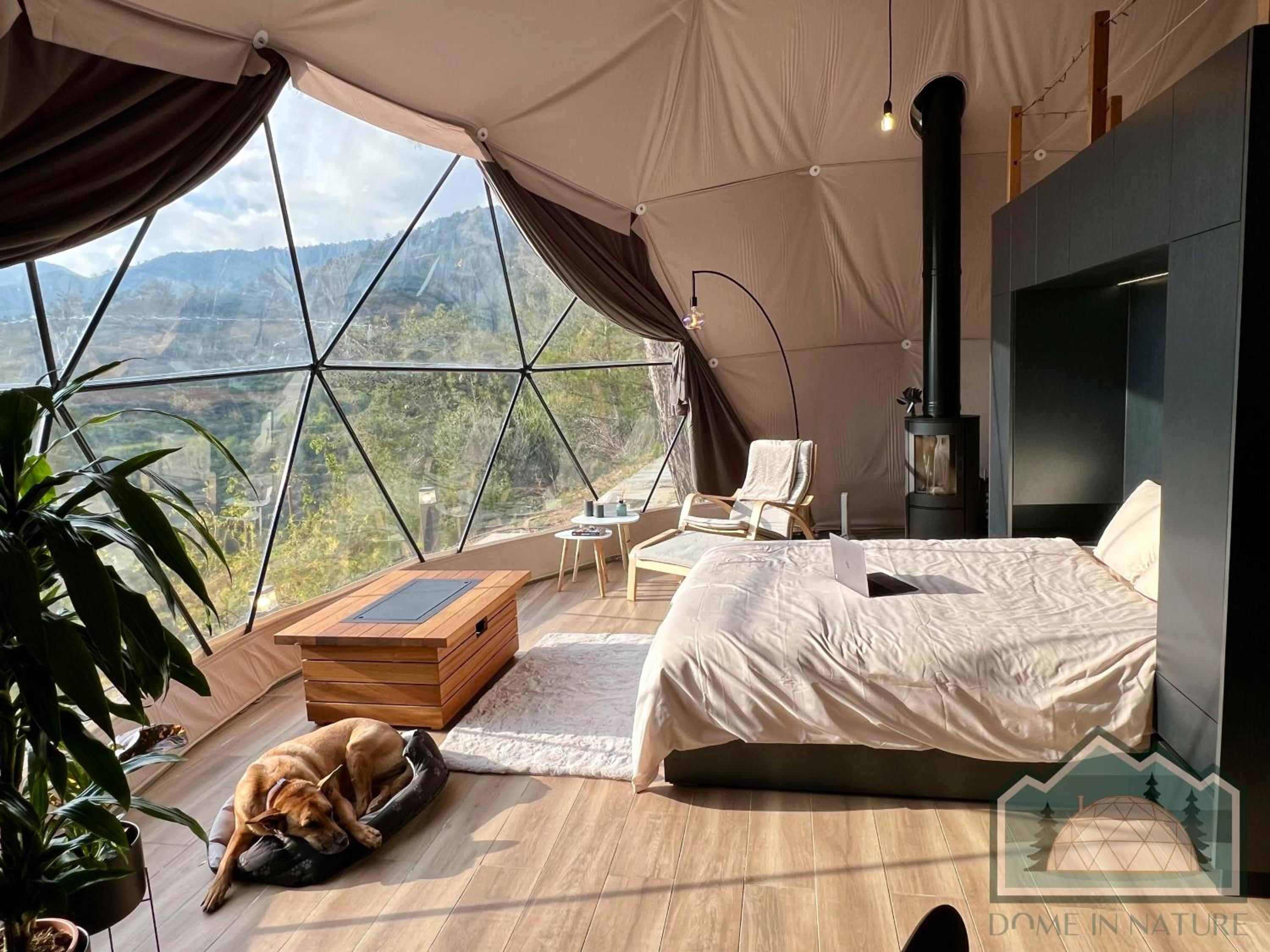 Dome in Nature