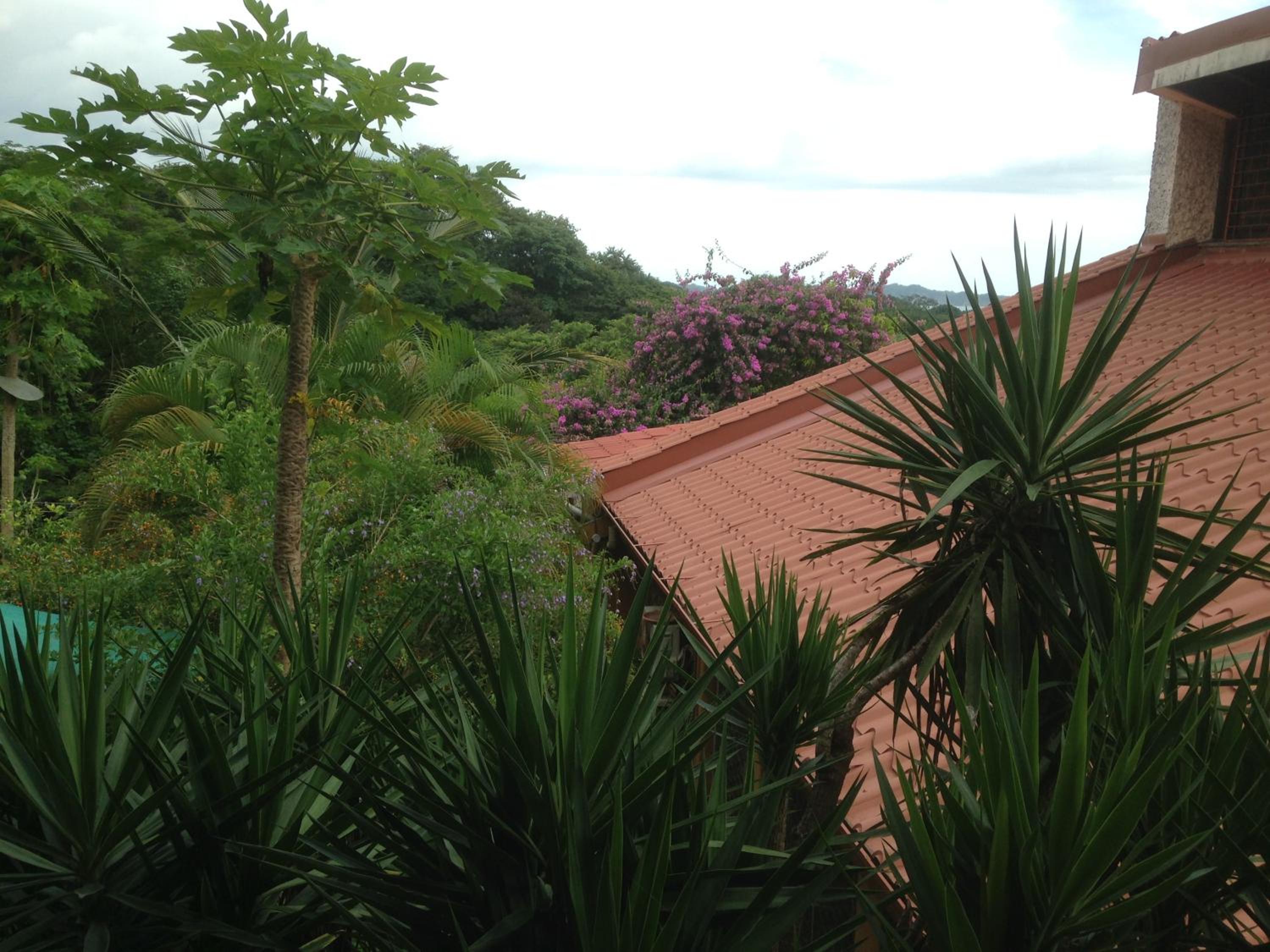 Villa Mango B&B