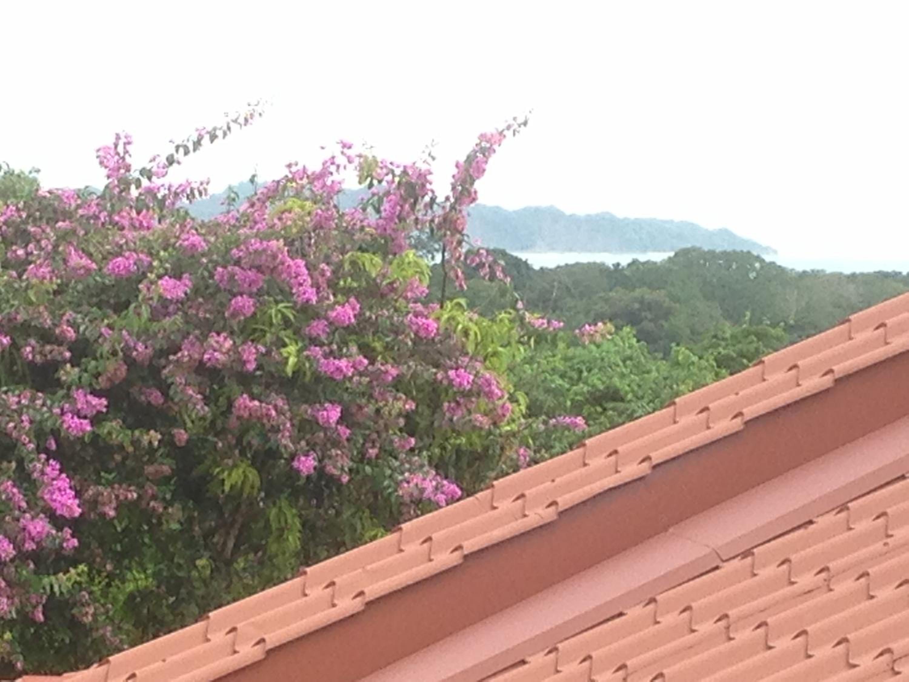 Villa Mango B&B