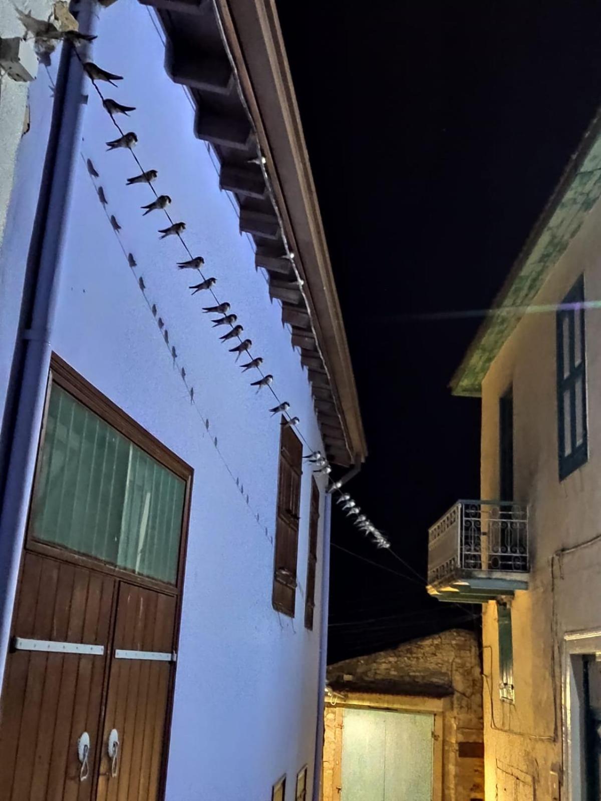 7Kamares