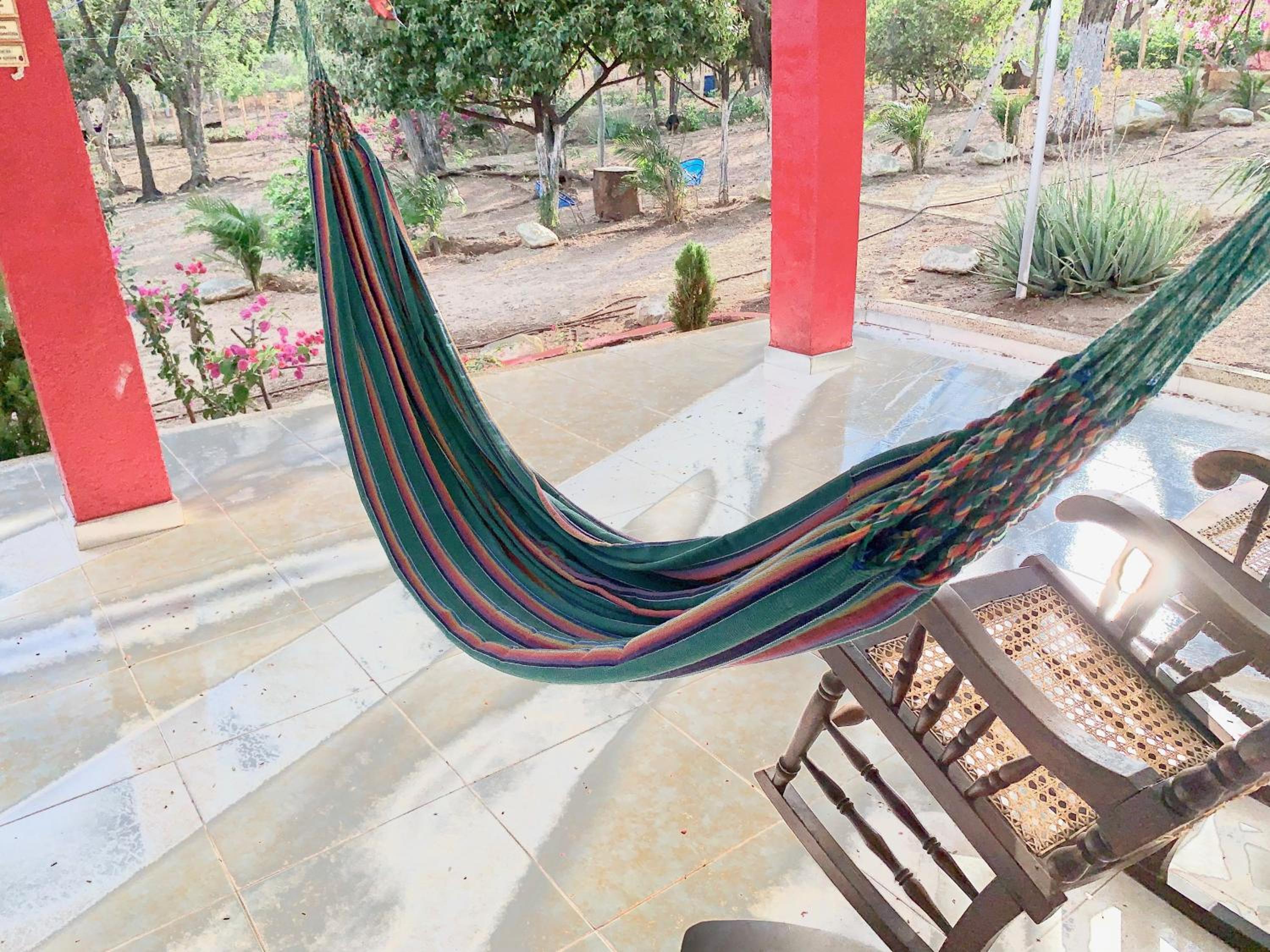 HOSTAL OLAS CLUB DE NEGUANJE -TAYRONA