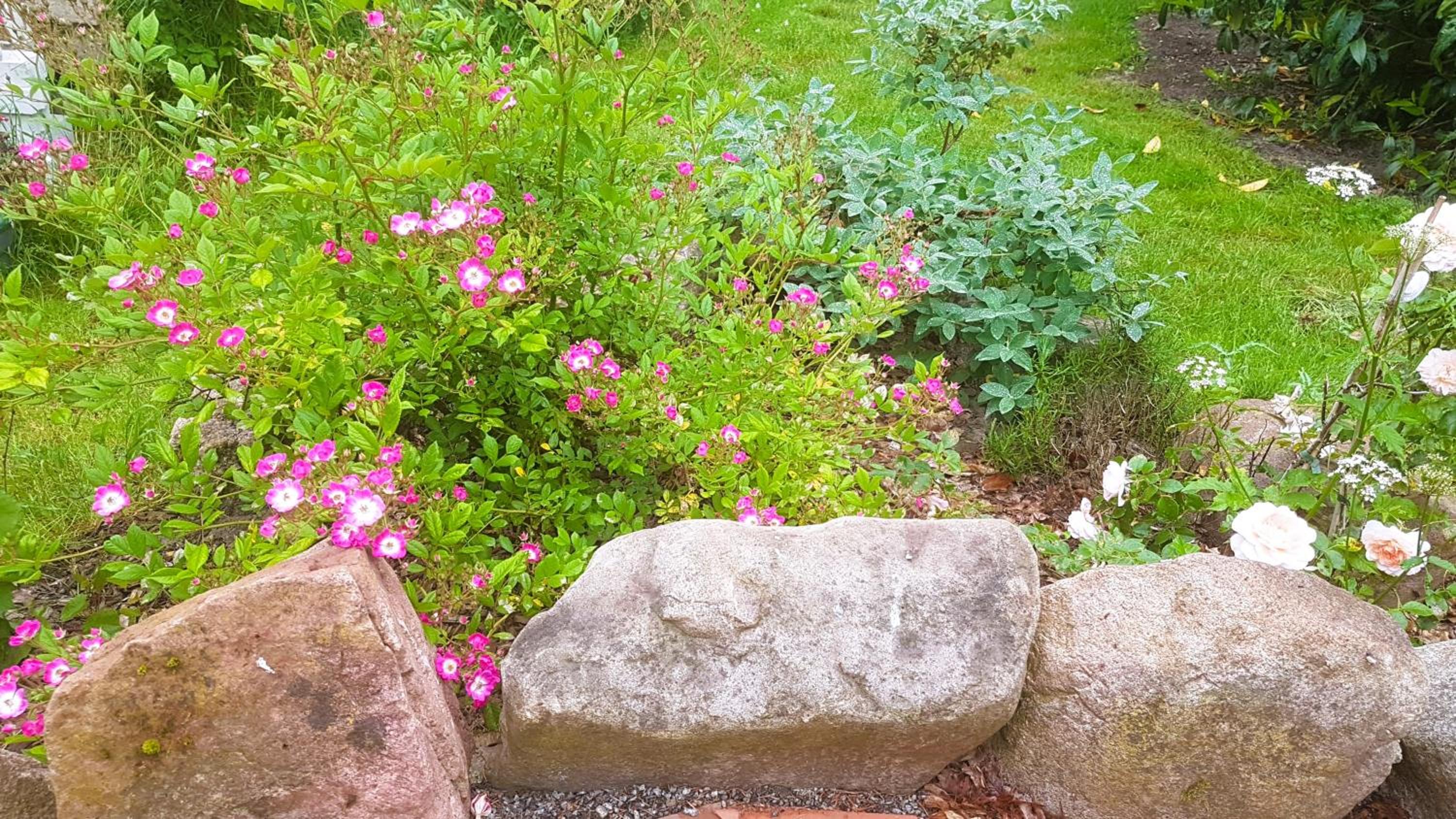 Ferienhaus Salvia