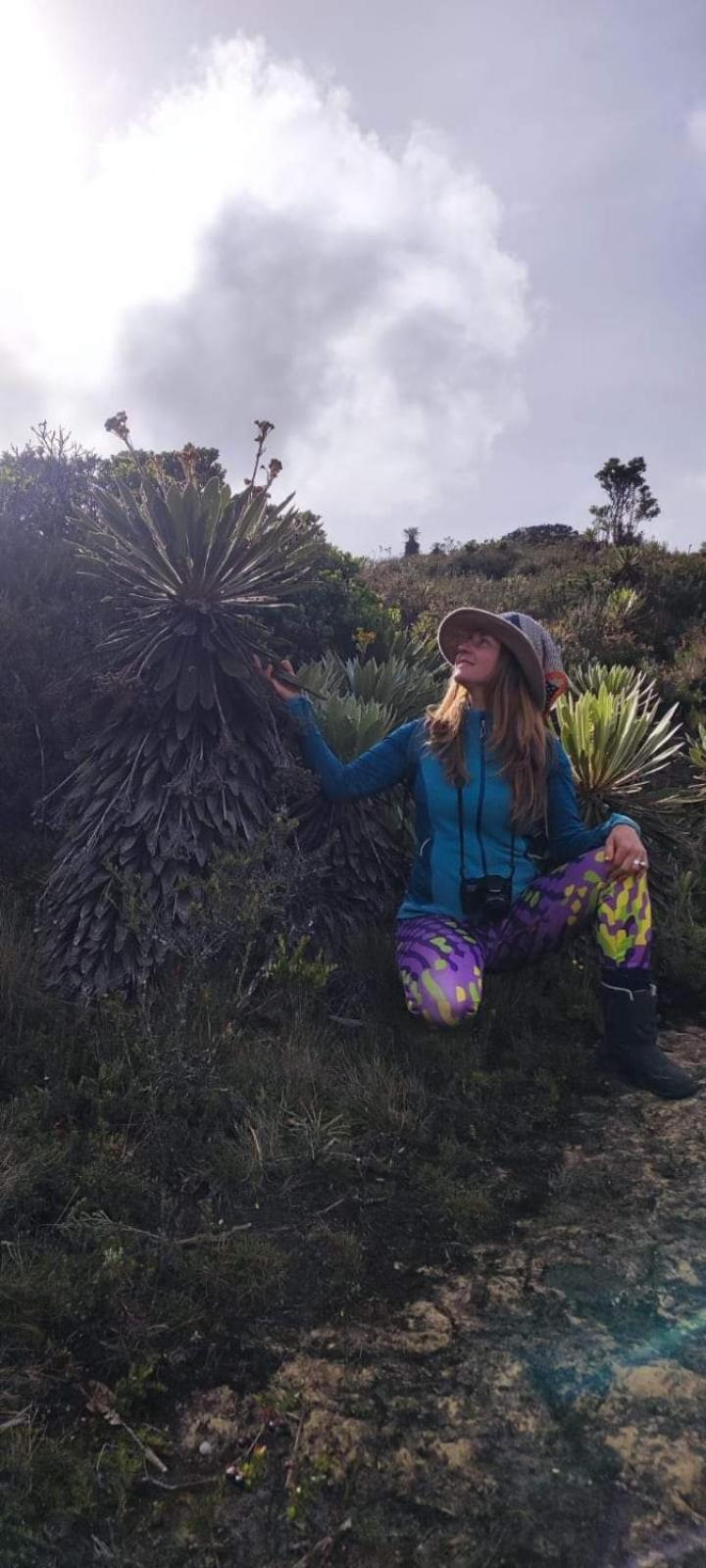 Colombia Mountain Tours Glamping