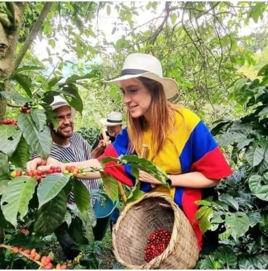 Colombia Mountain Tours Glamping