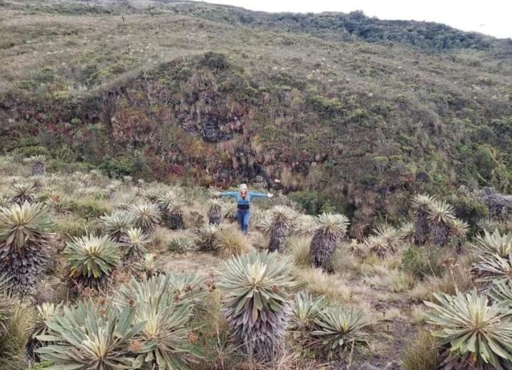 Colombia Mountain Tours Glamping