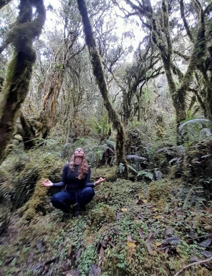 Colombia Mountain Tours Glamping
