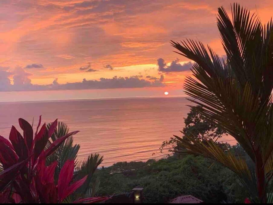 Villa Del Mar 2 Spectacular ocean view!