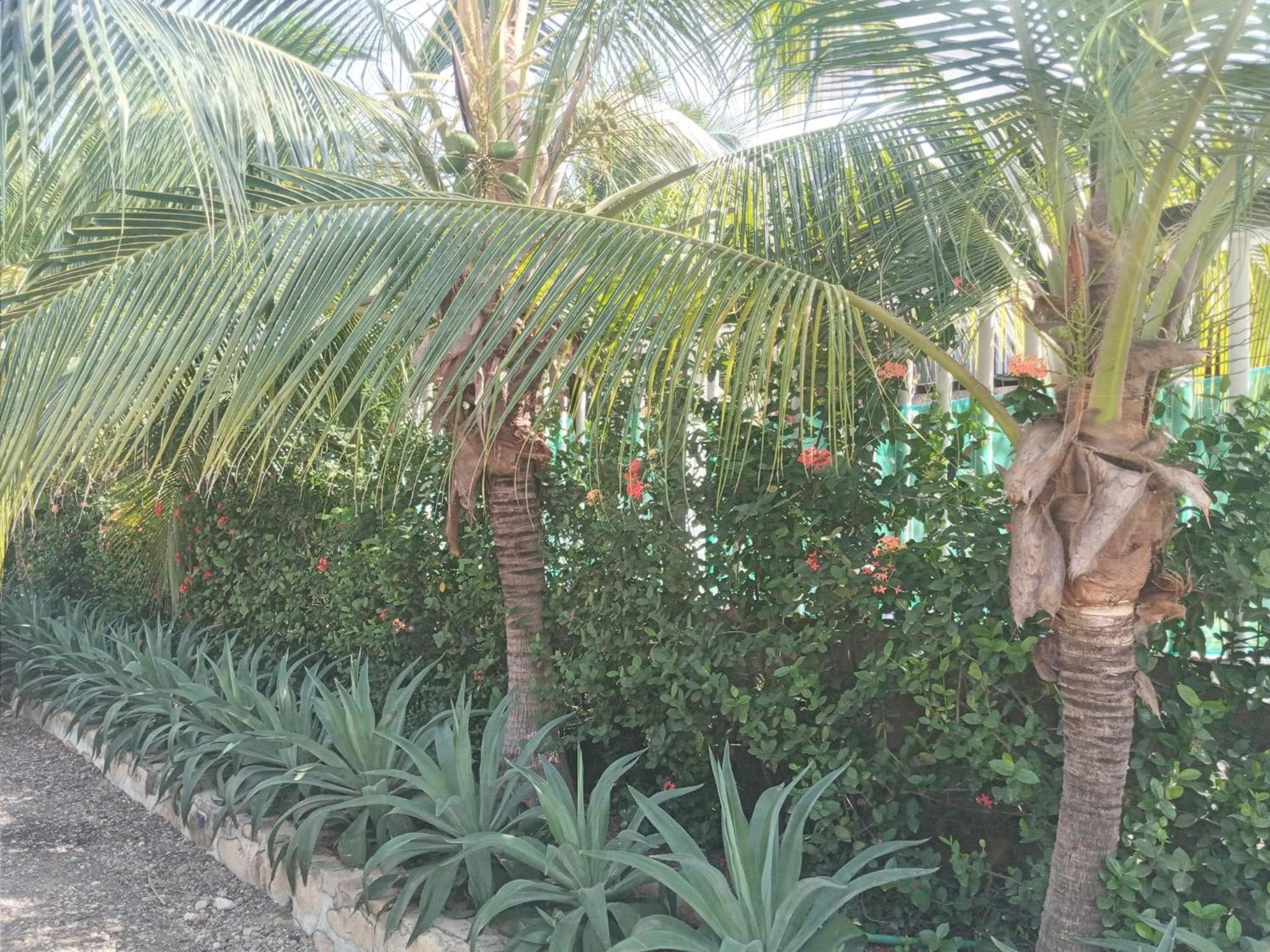 Sharick Beach House