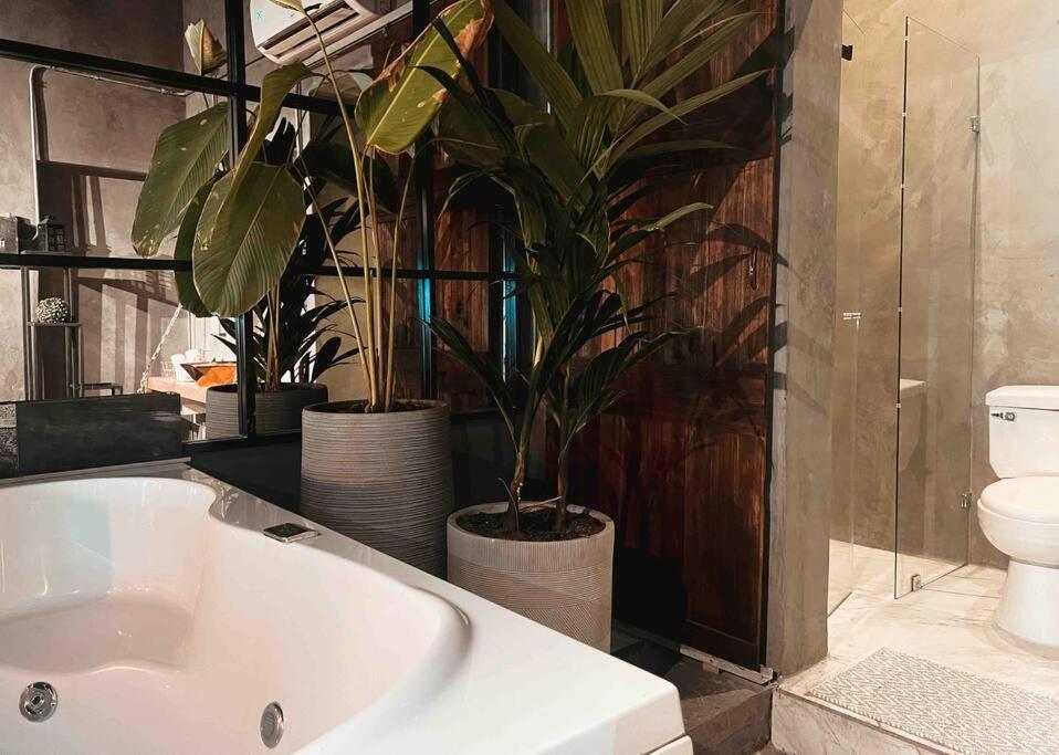 SUITE JACUZZI PROVENZA PROBLADO