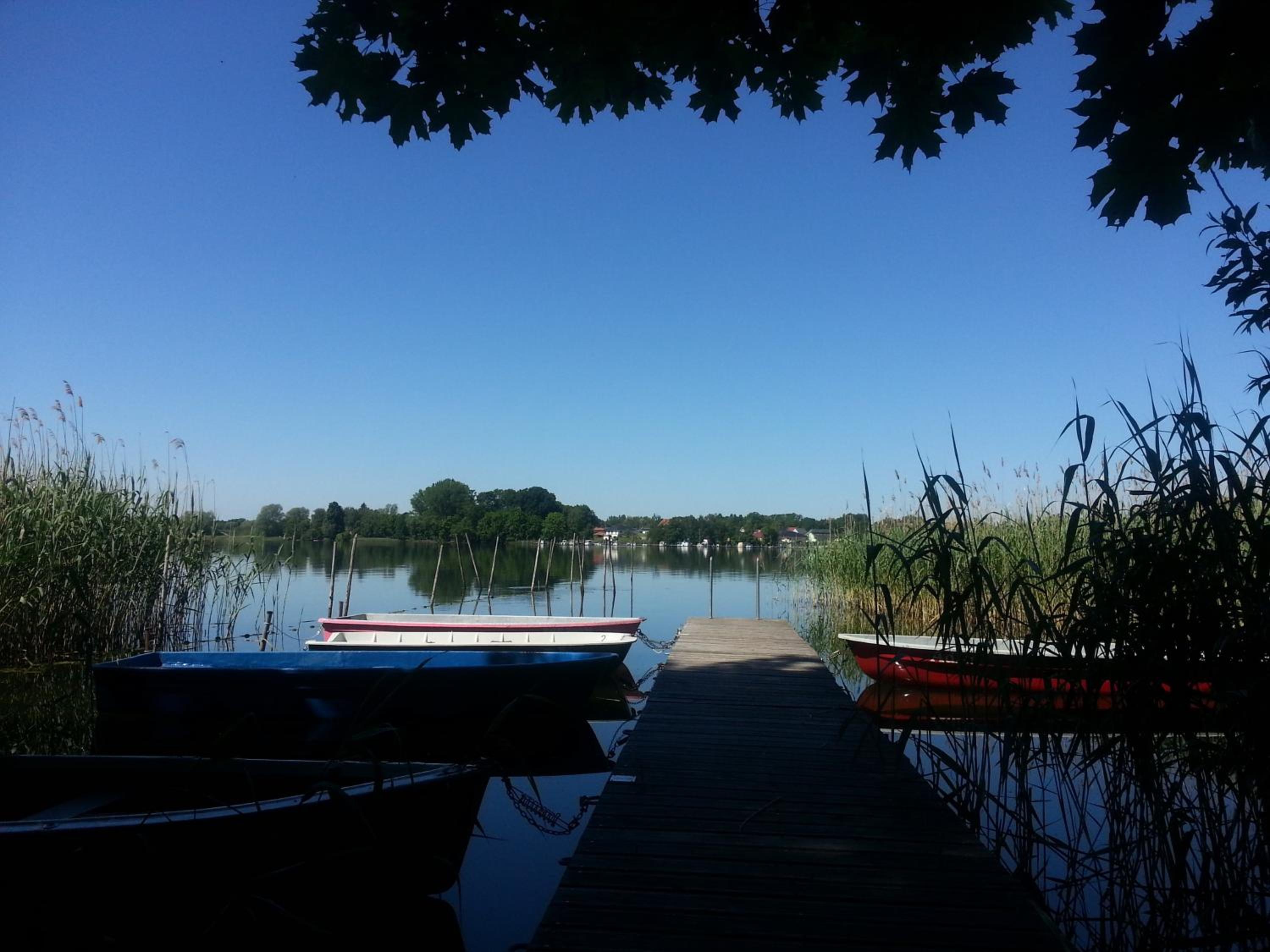 Holzhaus Waldwichtel am Wald und See
