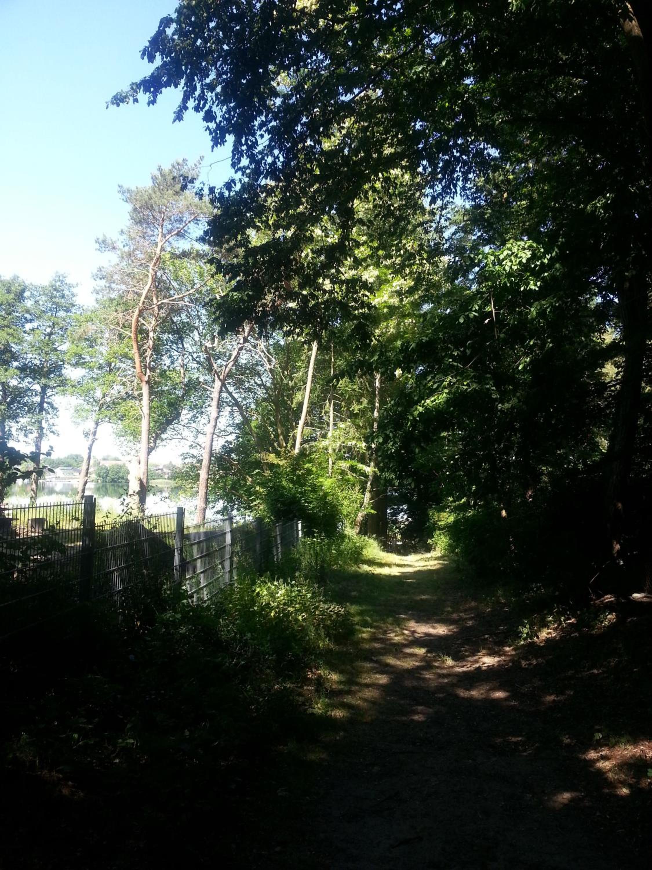 Holzhaus Waldwichtel am Wald und See
