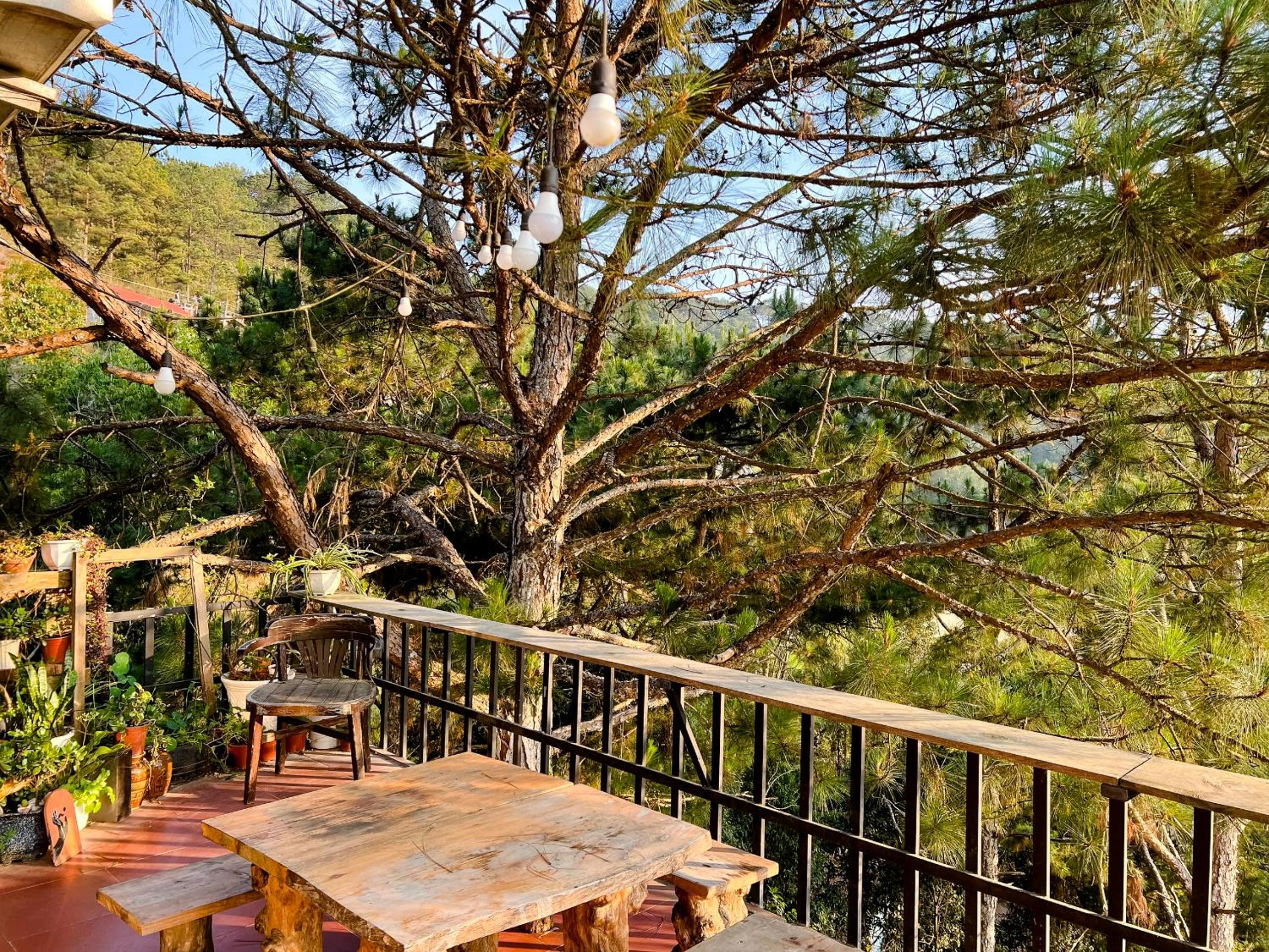 Chang Vang Homestay Da Lat