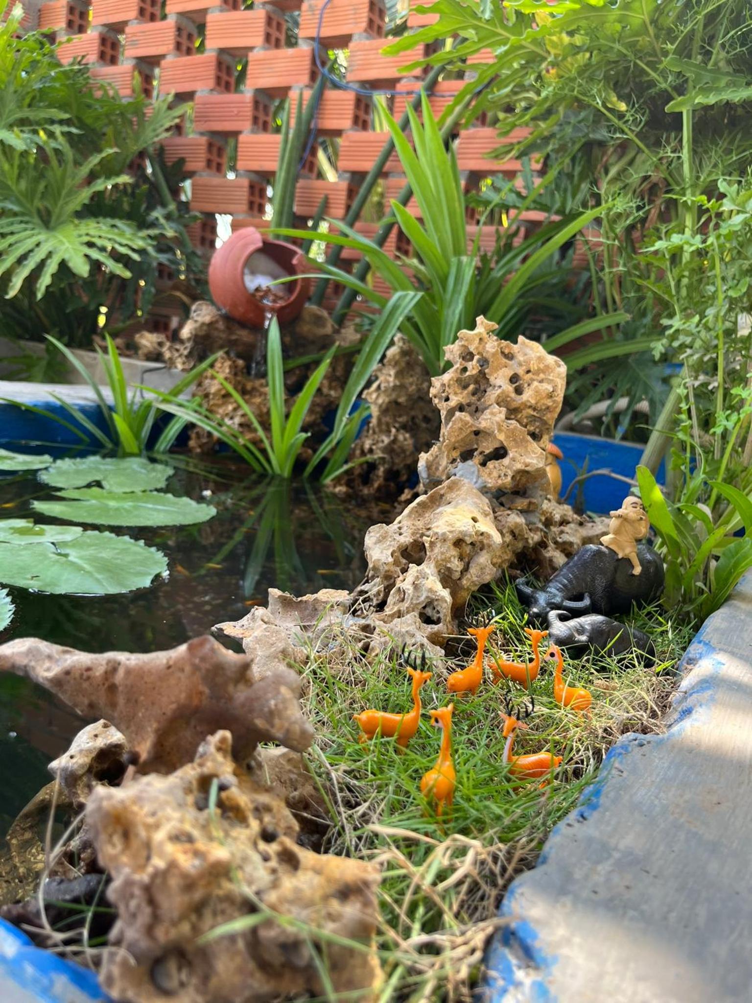 NAI Homestay view 4