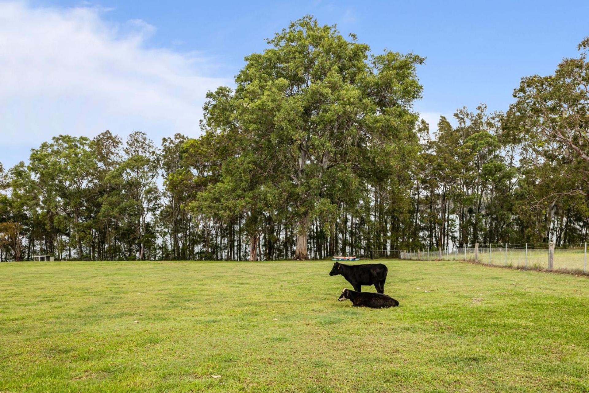 Twin Shores Farm Stay