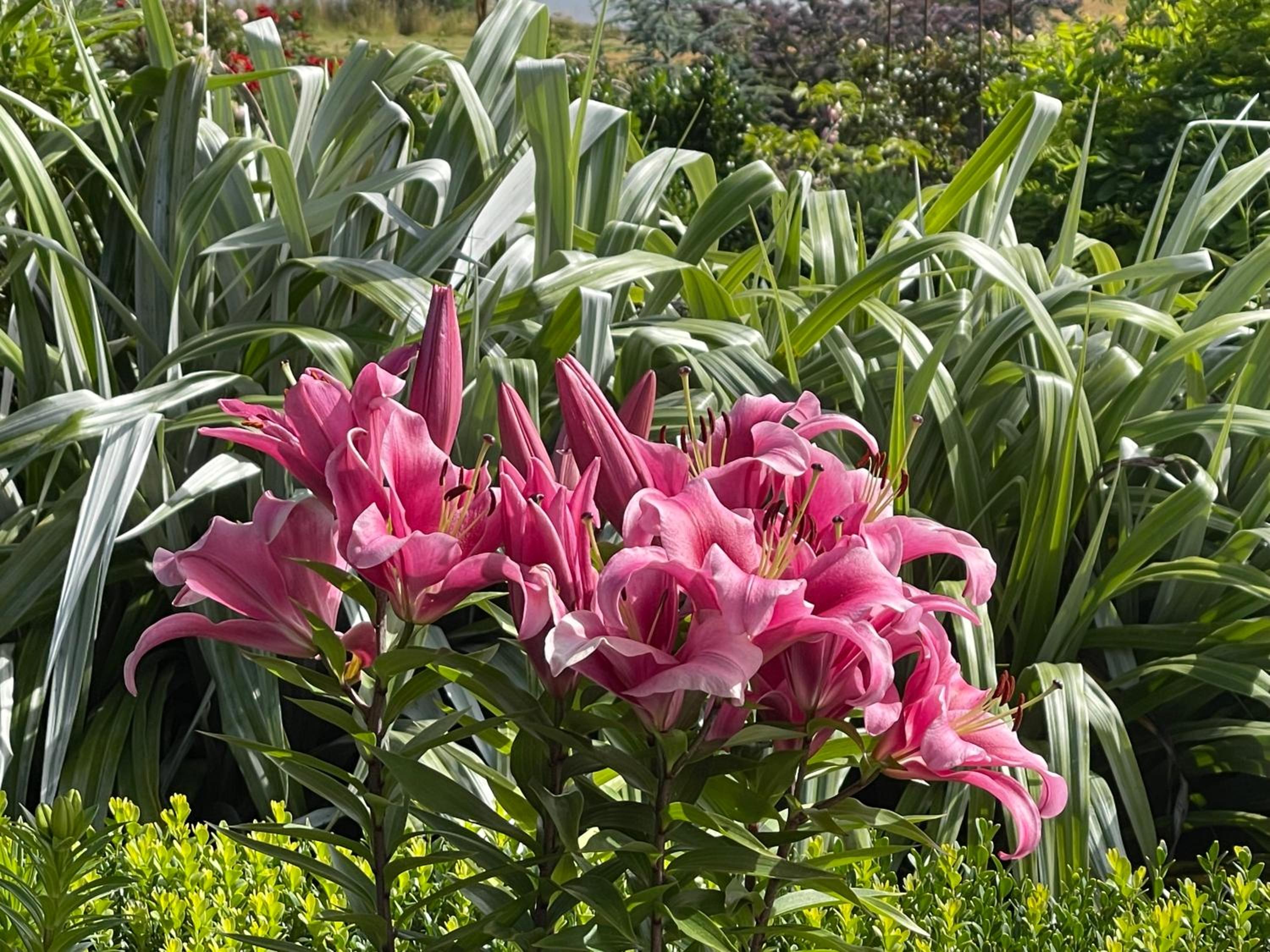 other