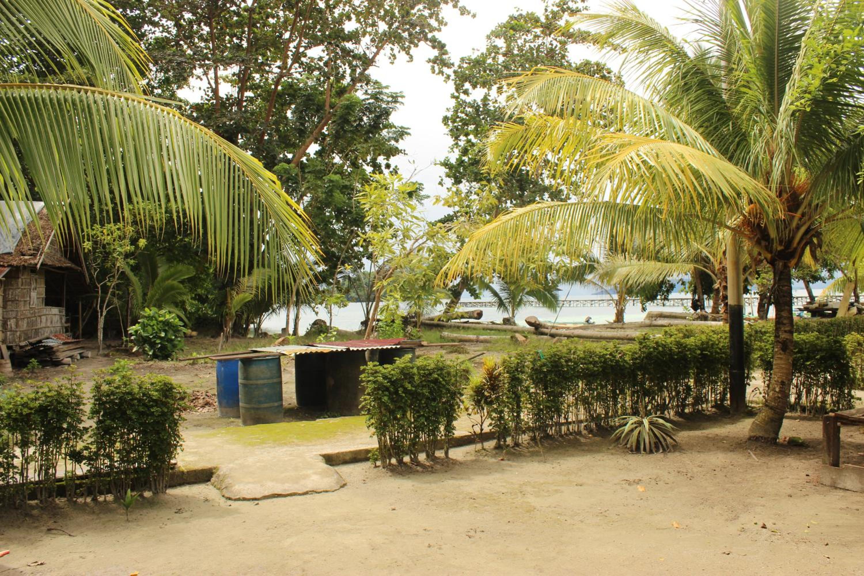 Photo 15