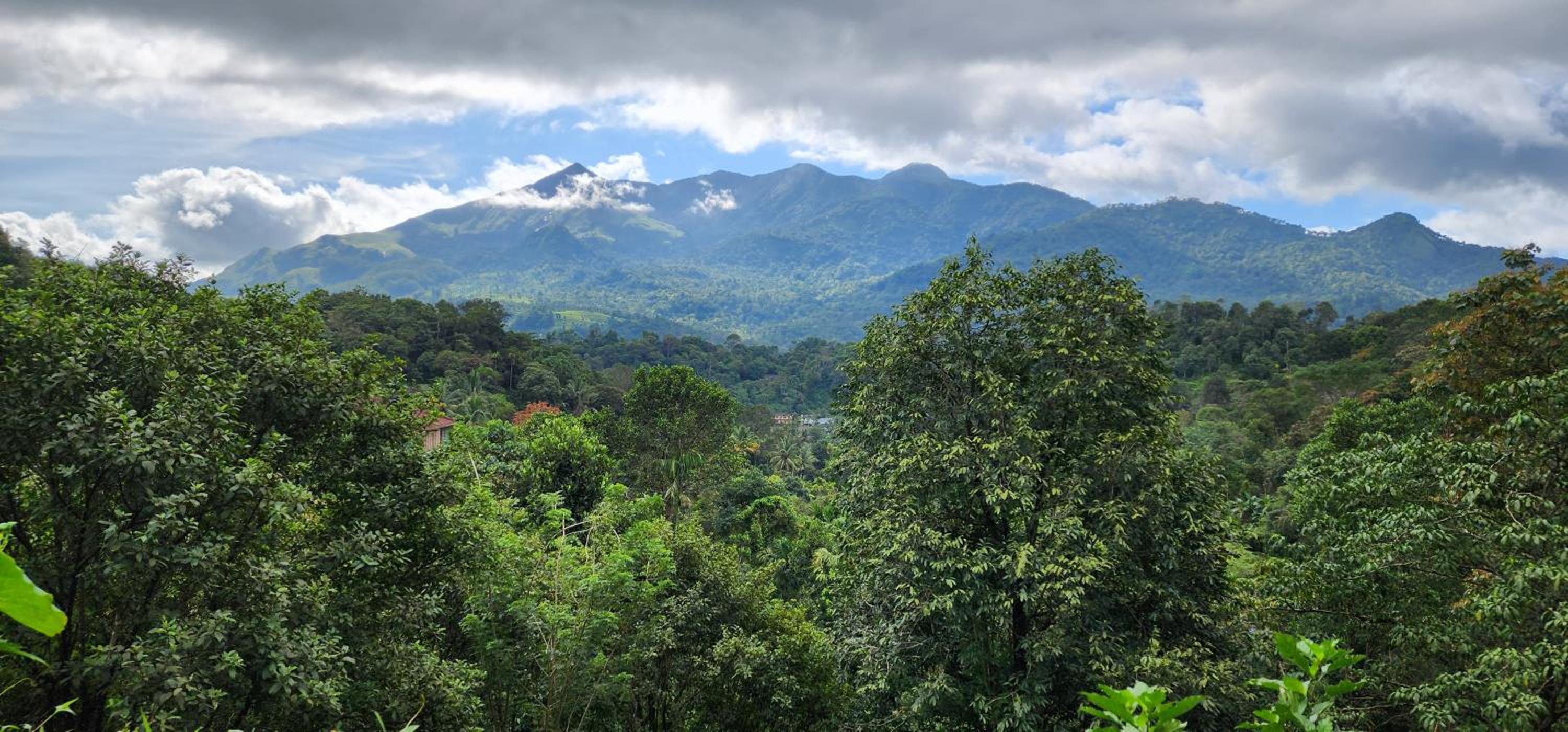 WAYANAD PEEK view 2