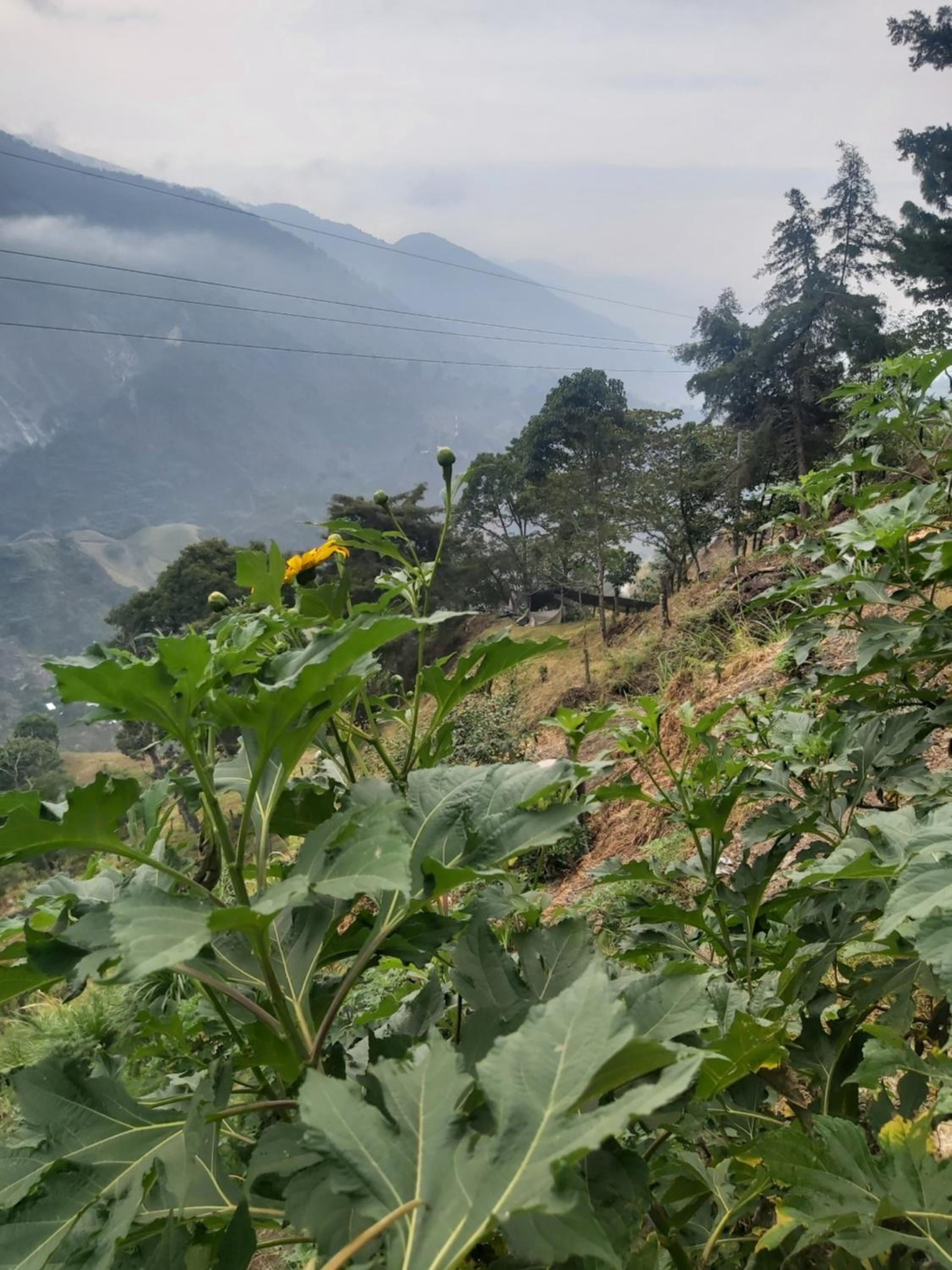 Granja la Gabriela