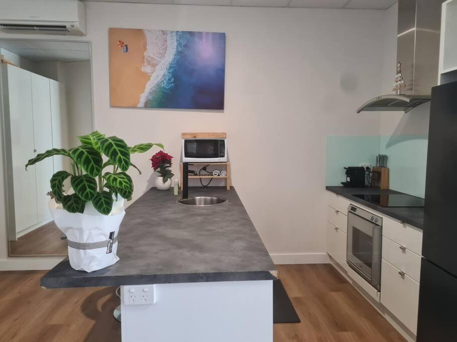 Modern studio in heart of Mooloolaba