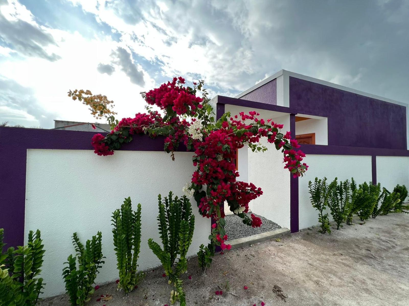 Dive Villa One Ocean view 4
