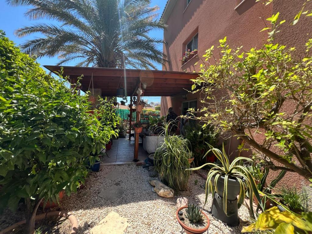 Pafia Crown-Jewel 2B, Pool, Prime Location, Paphos