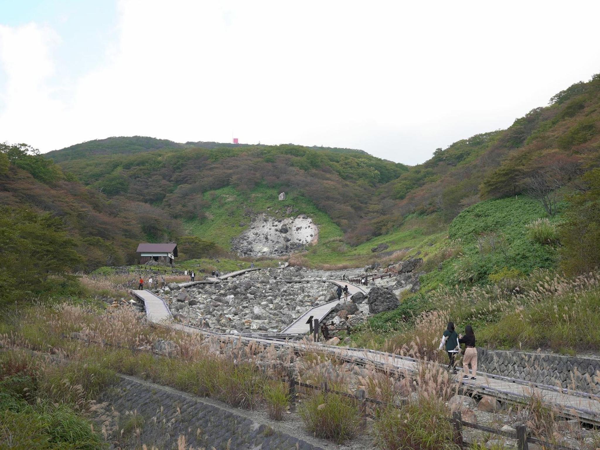 Photo 8