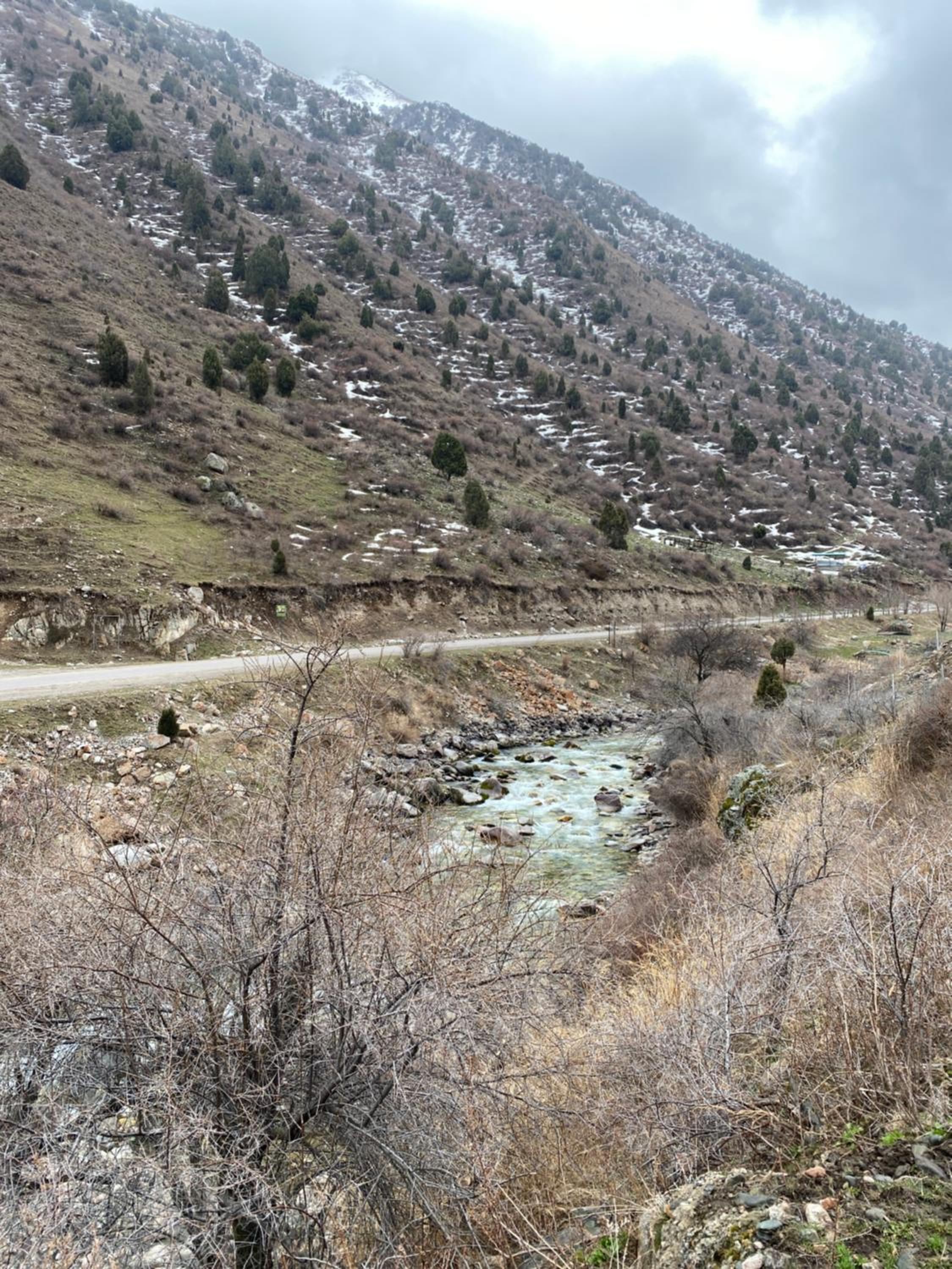 RAHMAT yurts view 5
