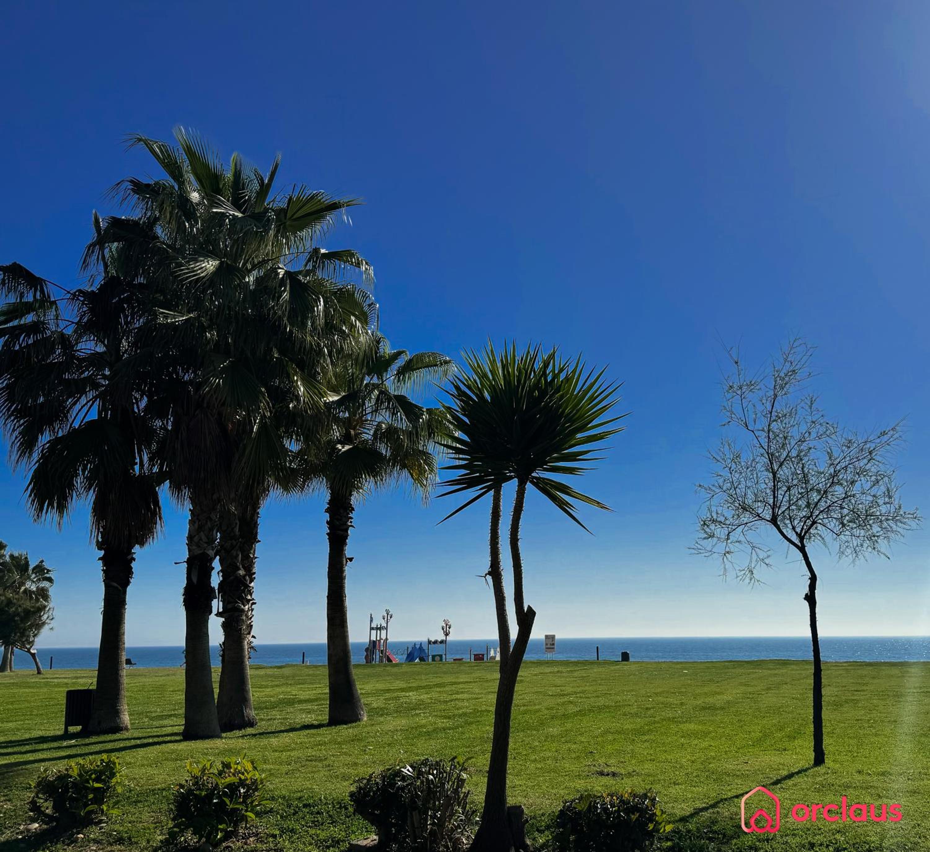 Bello Horizonte