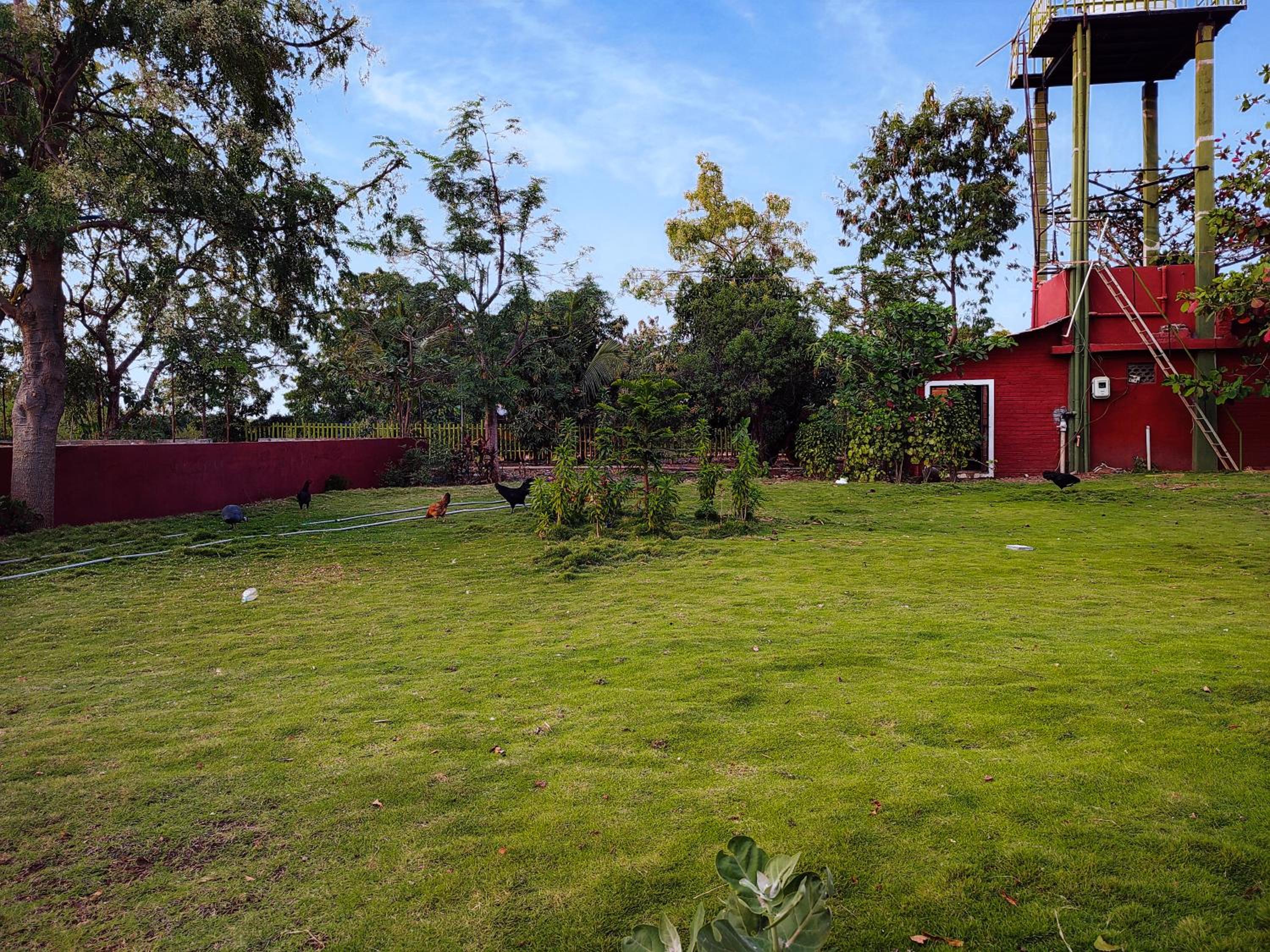 Photo 25