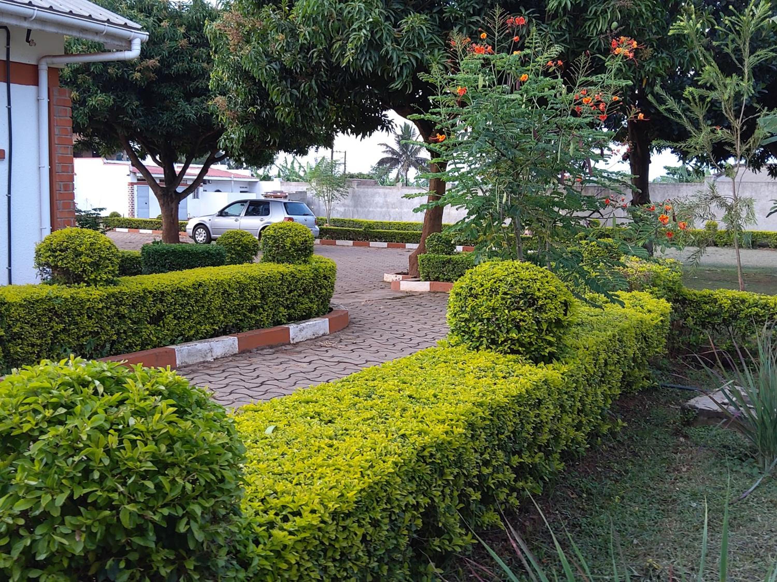 Photo 46