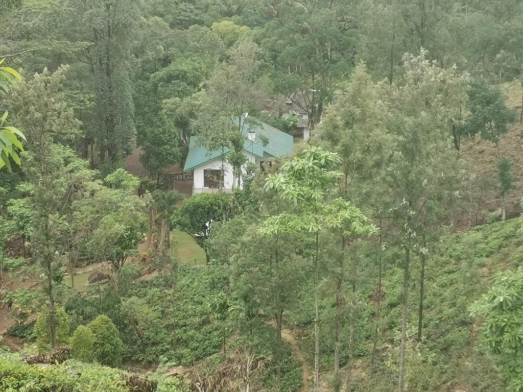 Trident Bungalow