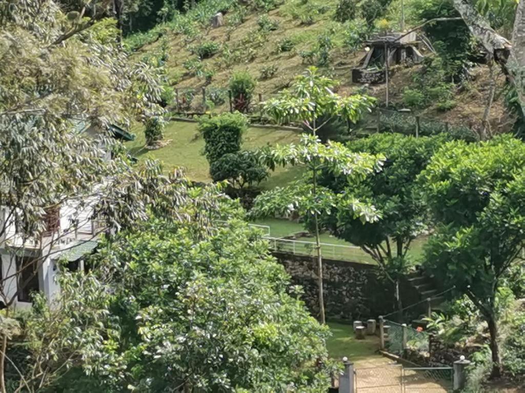 Trident Bungalow