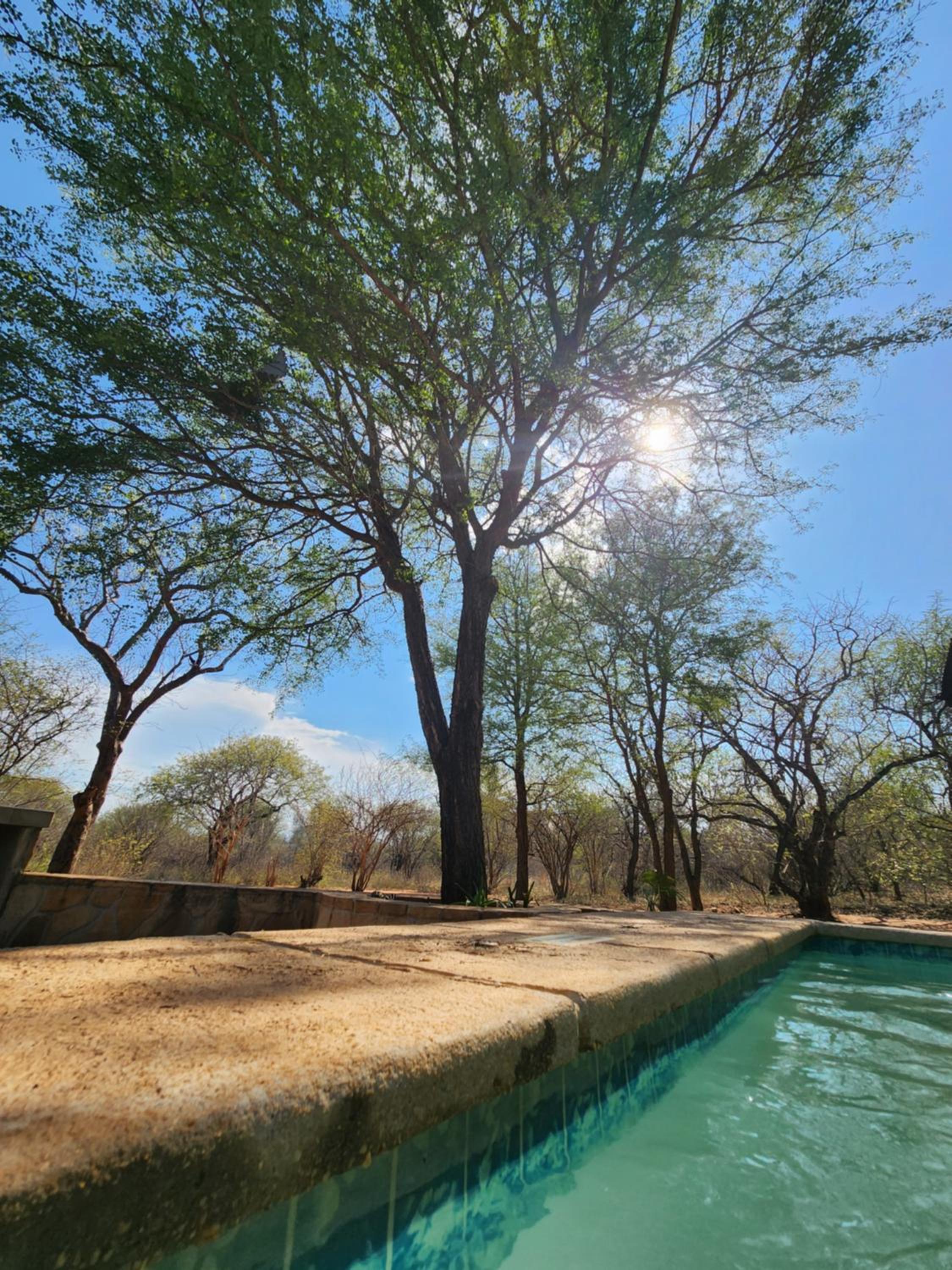Stella Bush Villa