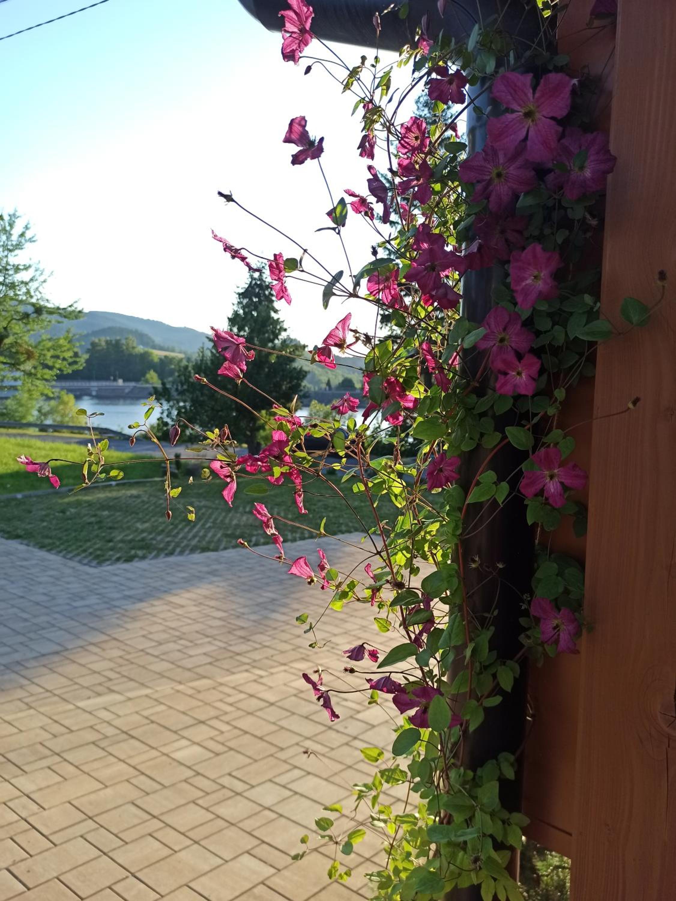 Penzion U Vody