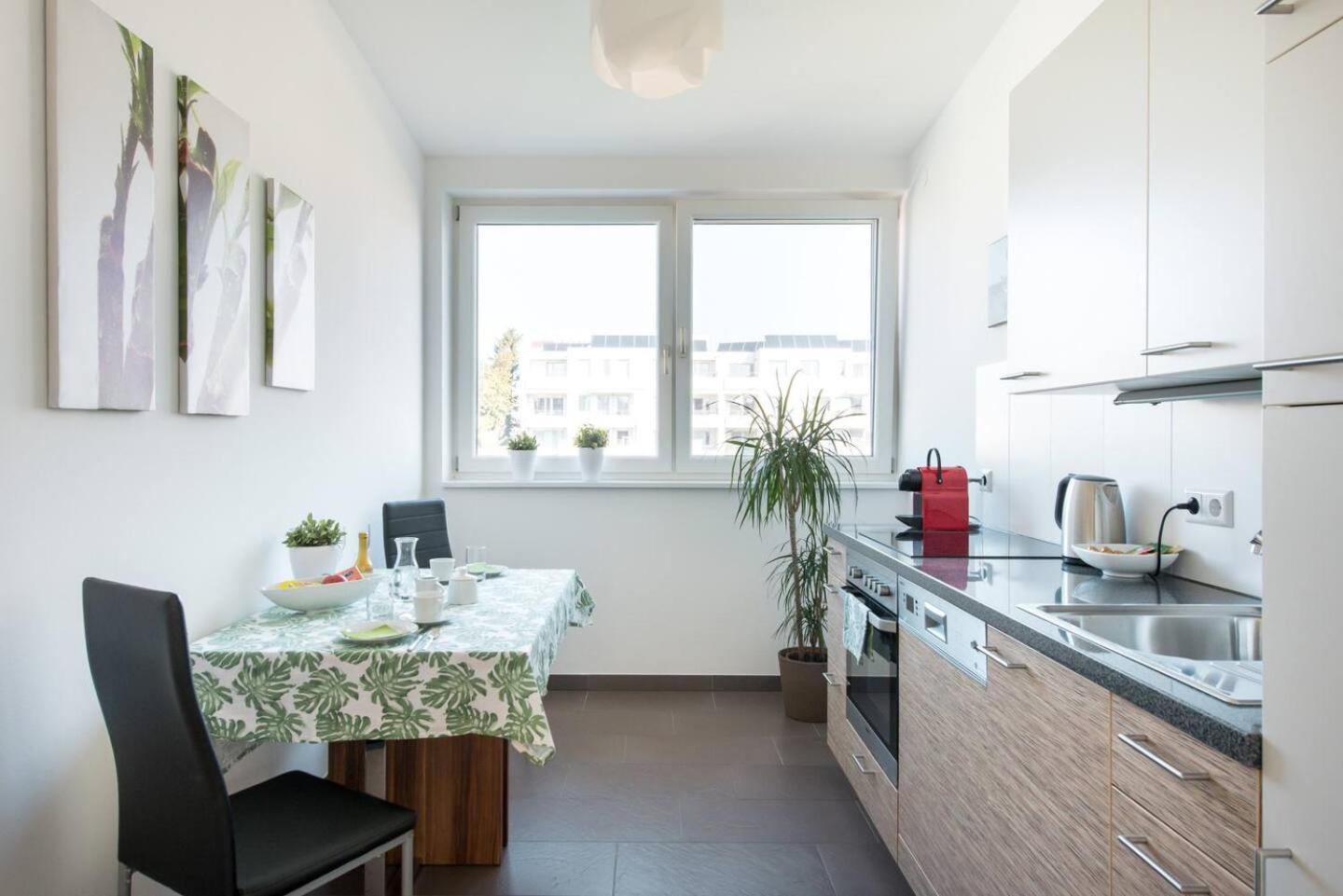 Helles gemütliches Apartment V5