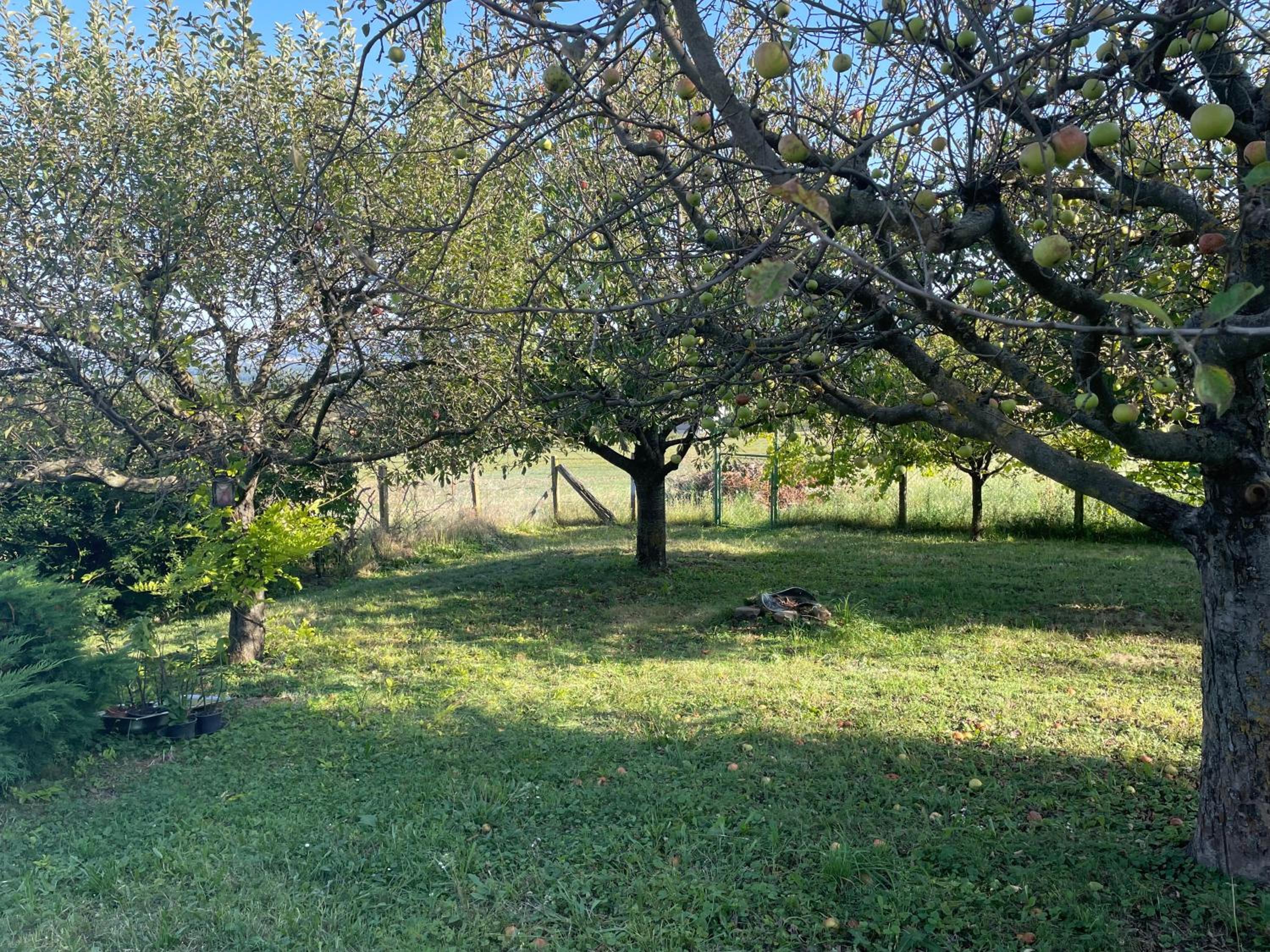Photo 22
