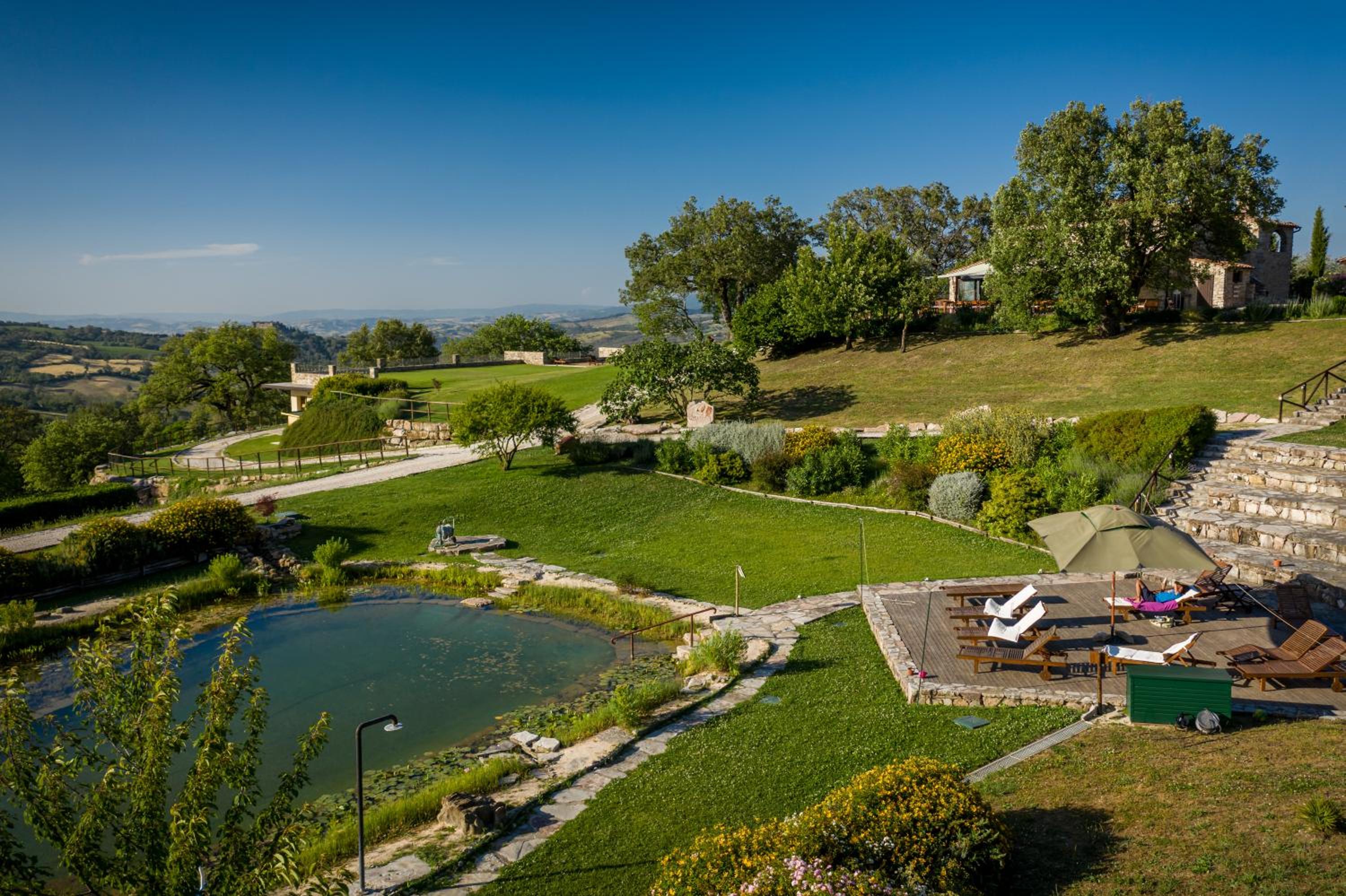 Sasseta Alta