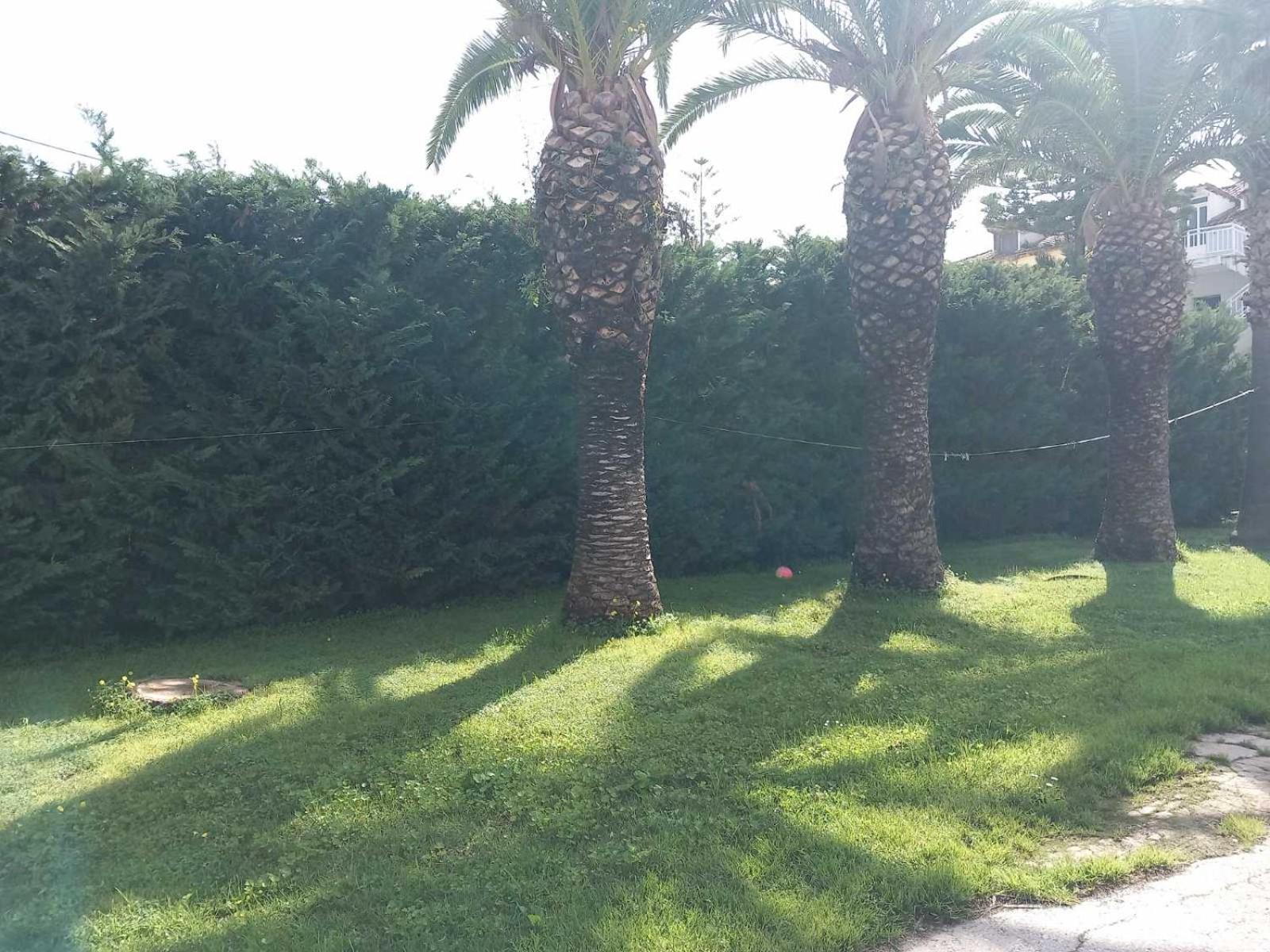 Villa Pythari photo 3