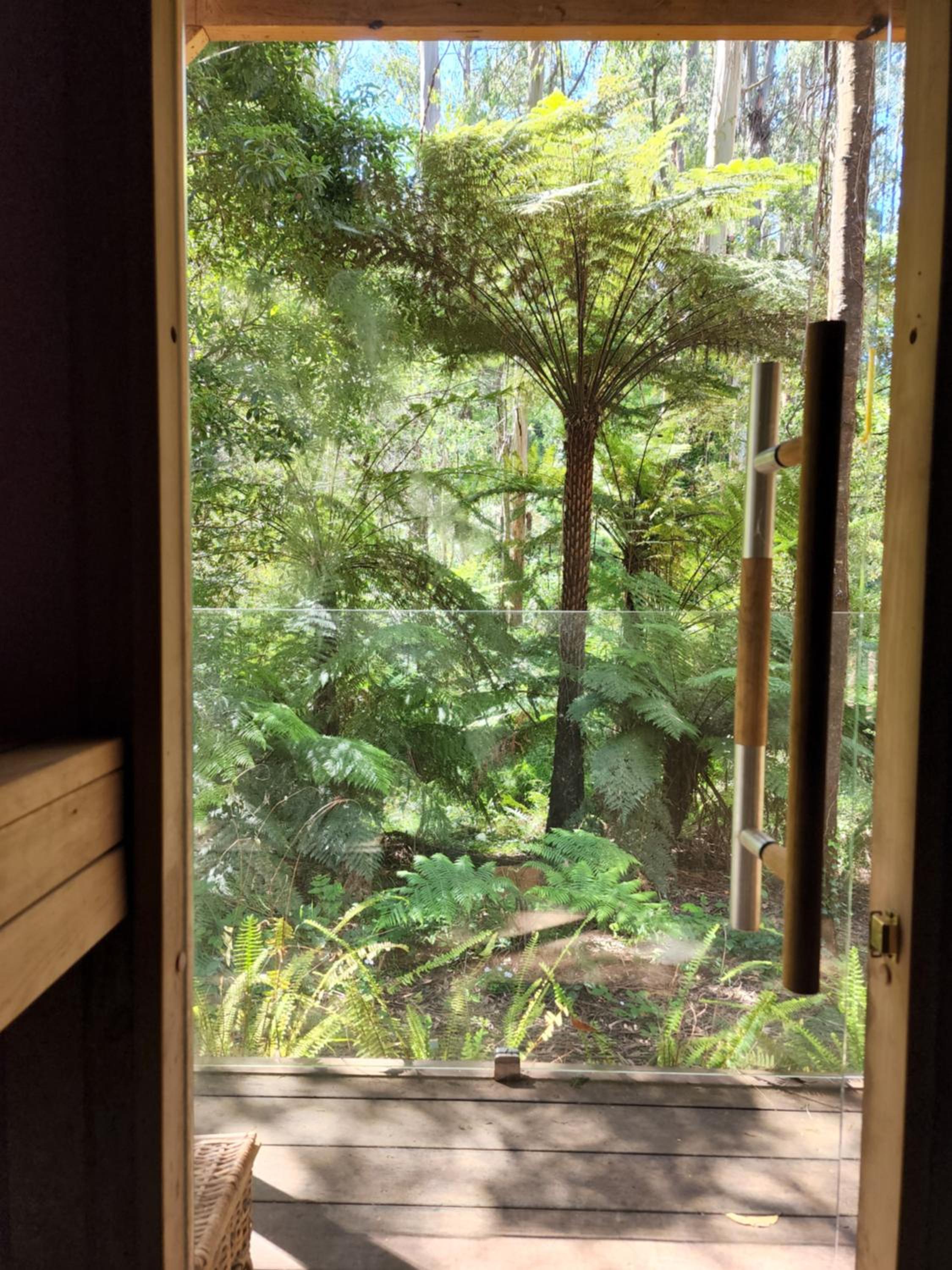 The Fernglen Forest Retreat