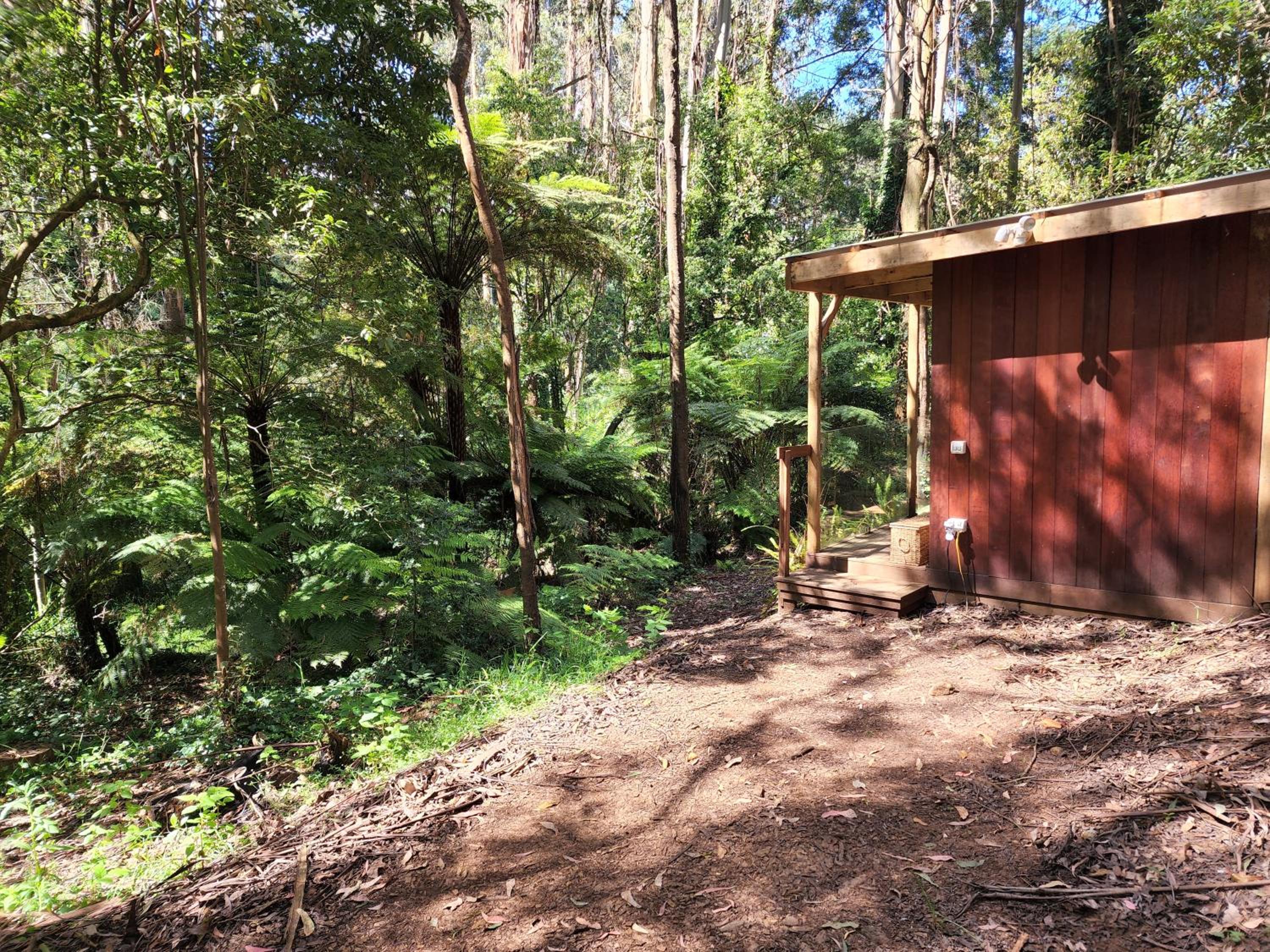 The Fernglen Forest Retreat