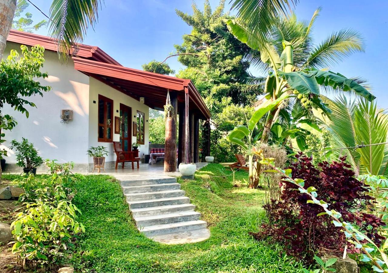Pubudu's little paradise view 2