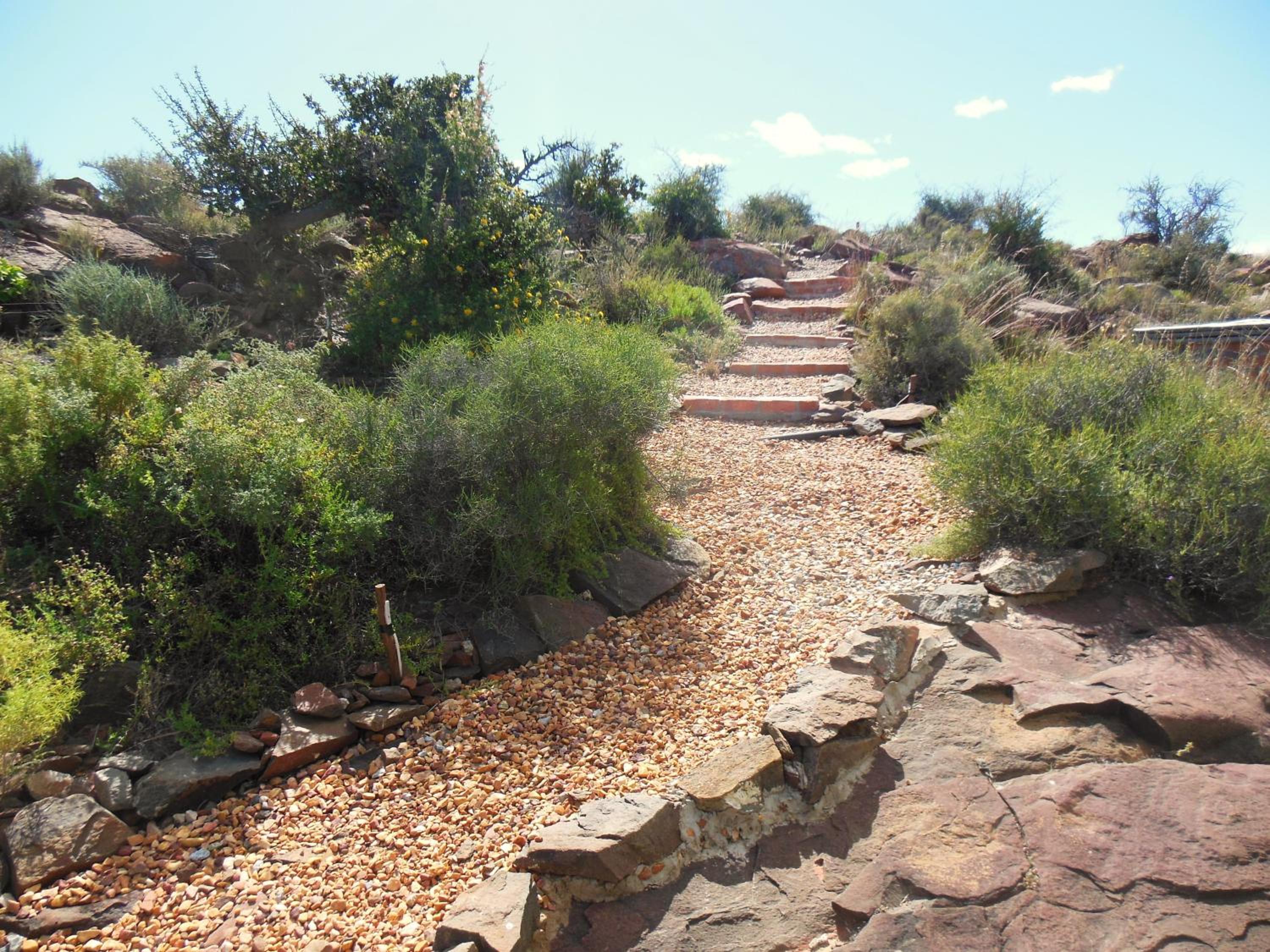 Photo 29