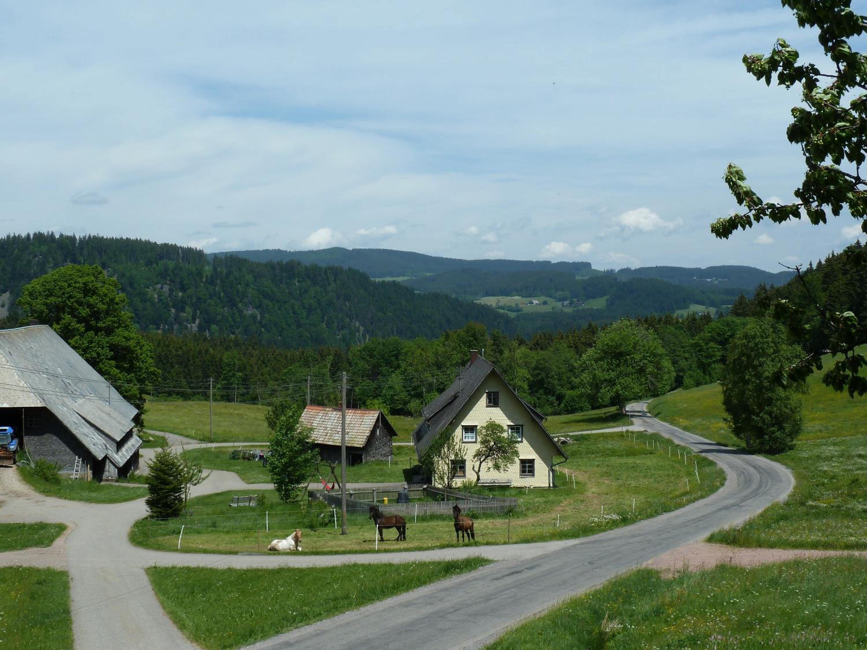 Ferienhaus Esche
