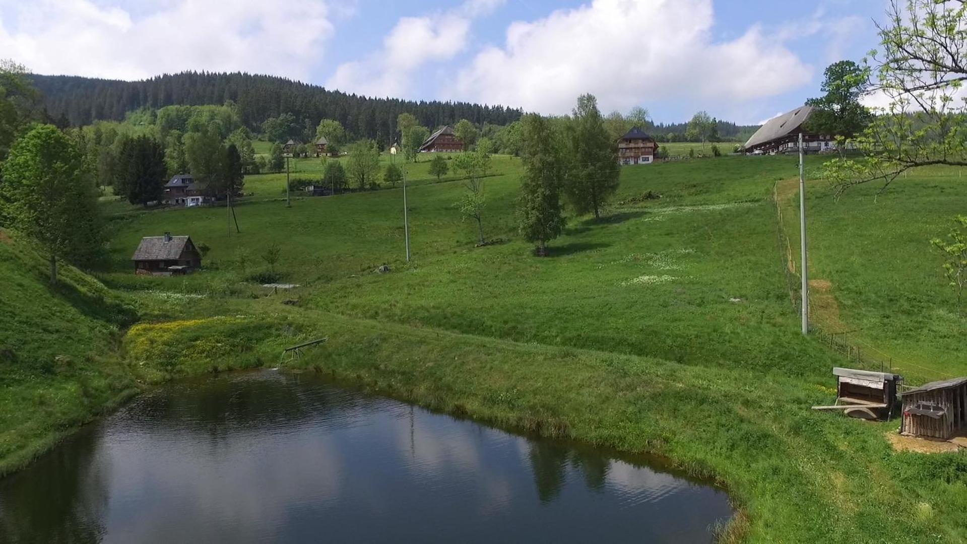 Ferienhaus Esche