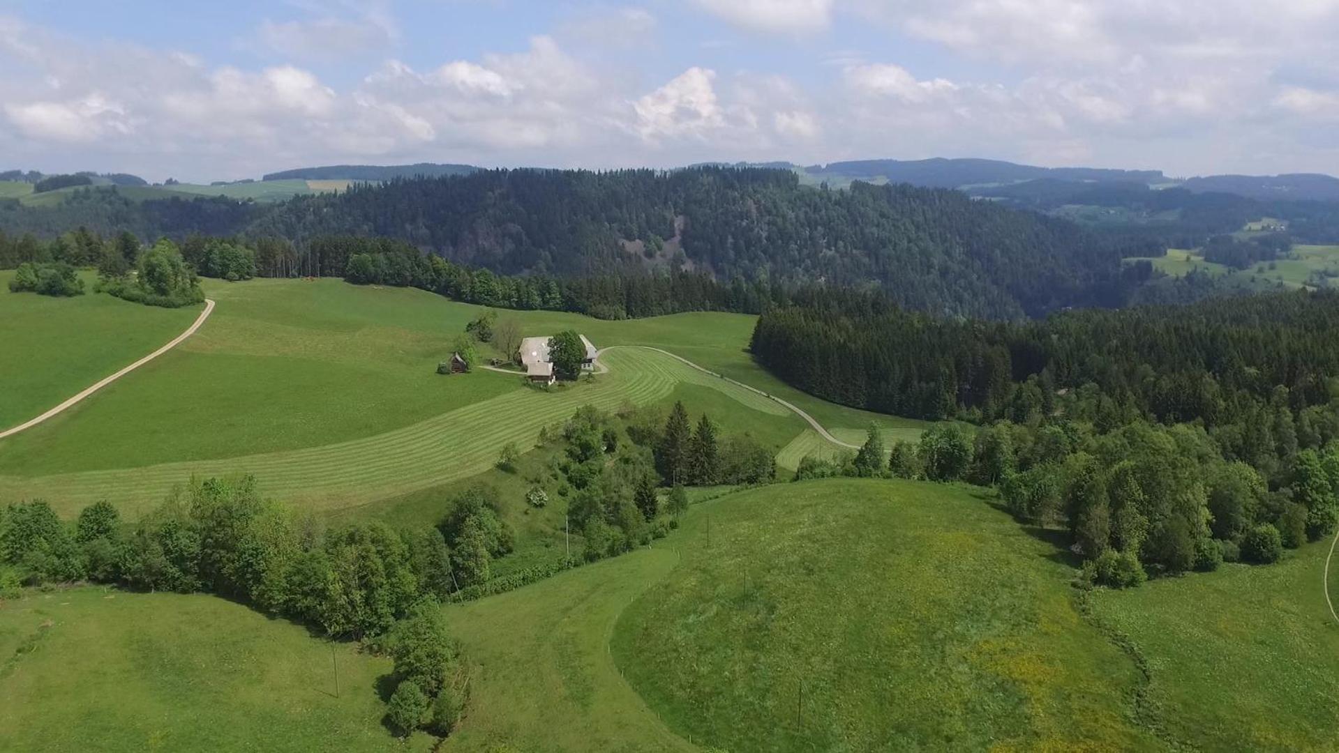 Ferienhaus Esche