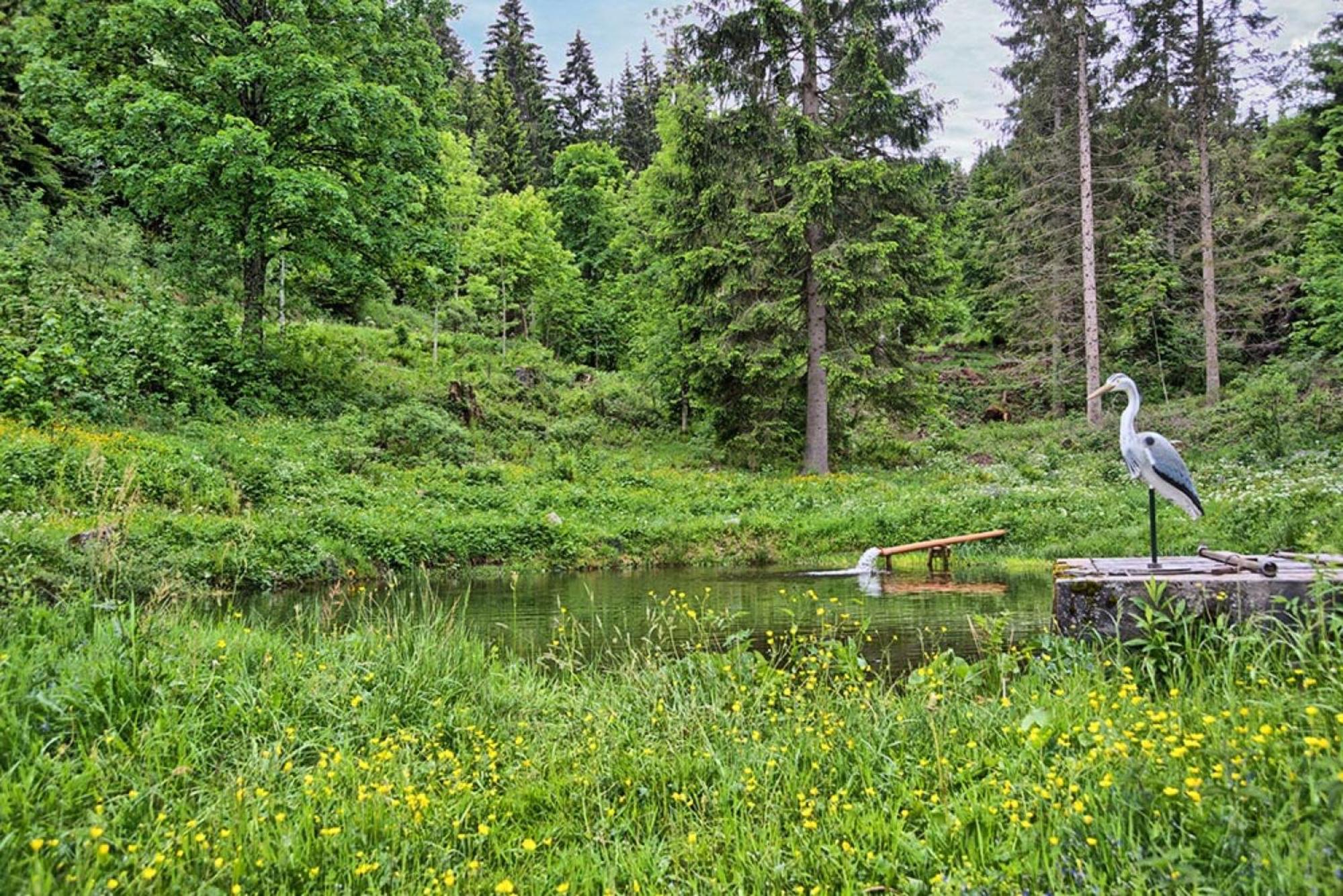Ferienhaus Esche