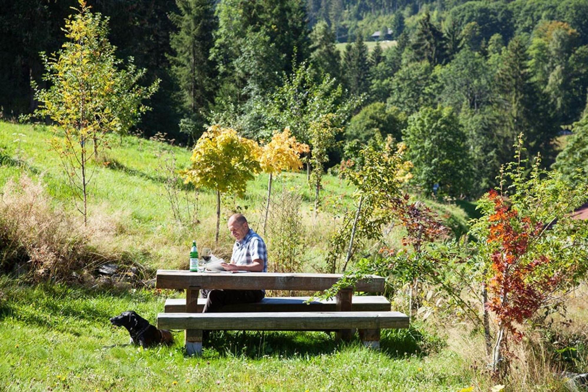Ferienhaus Esche