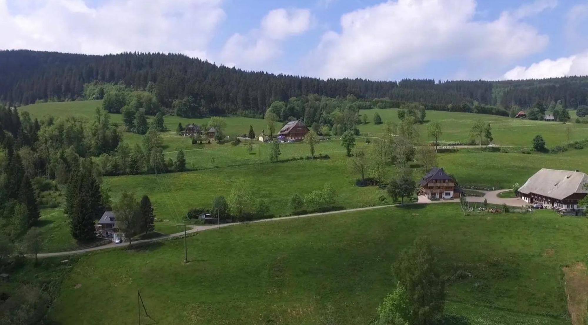 Ferienhaus Esche