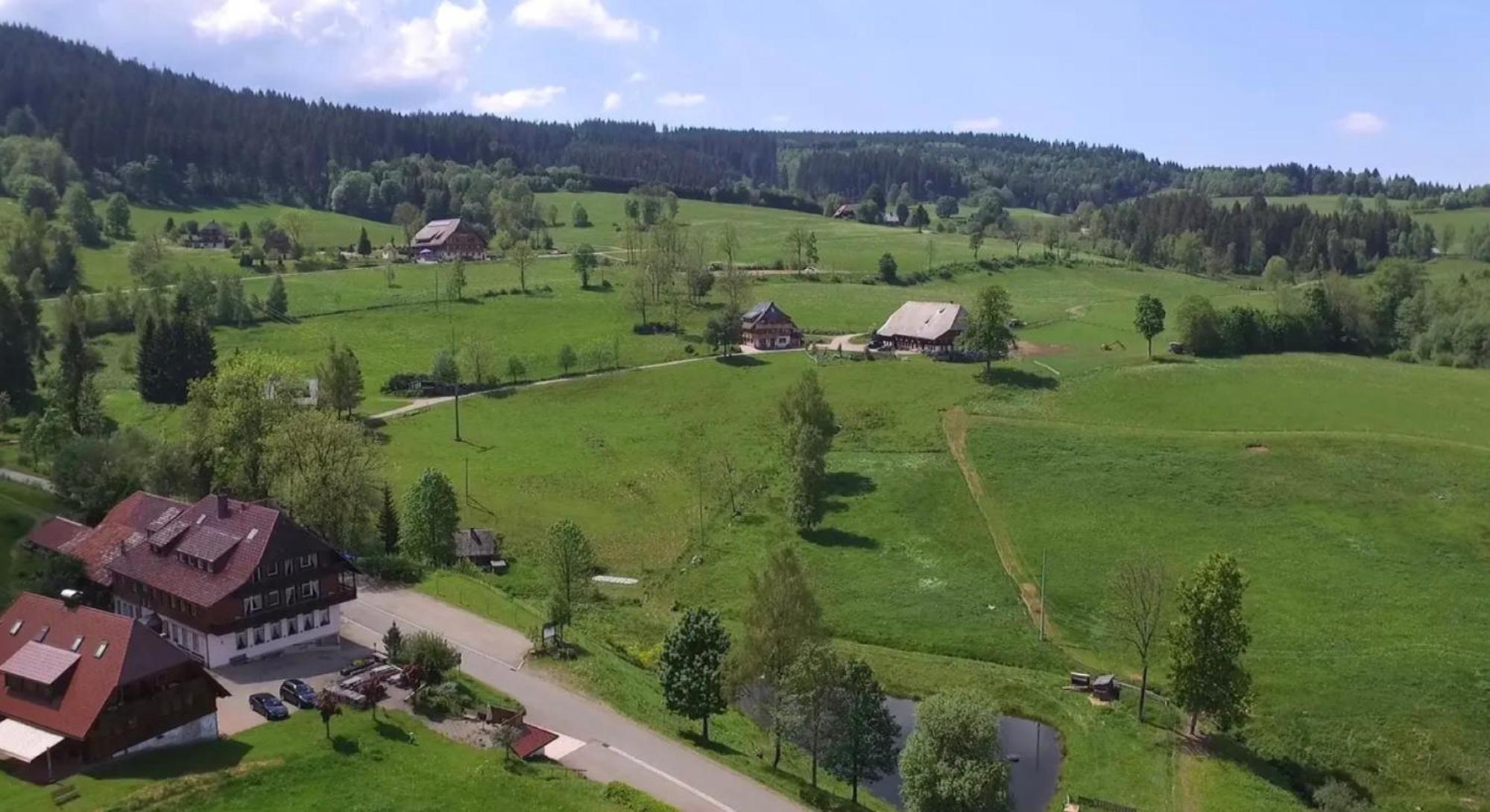 Ferienhaus Esche